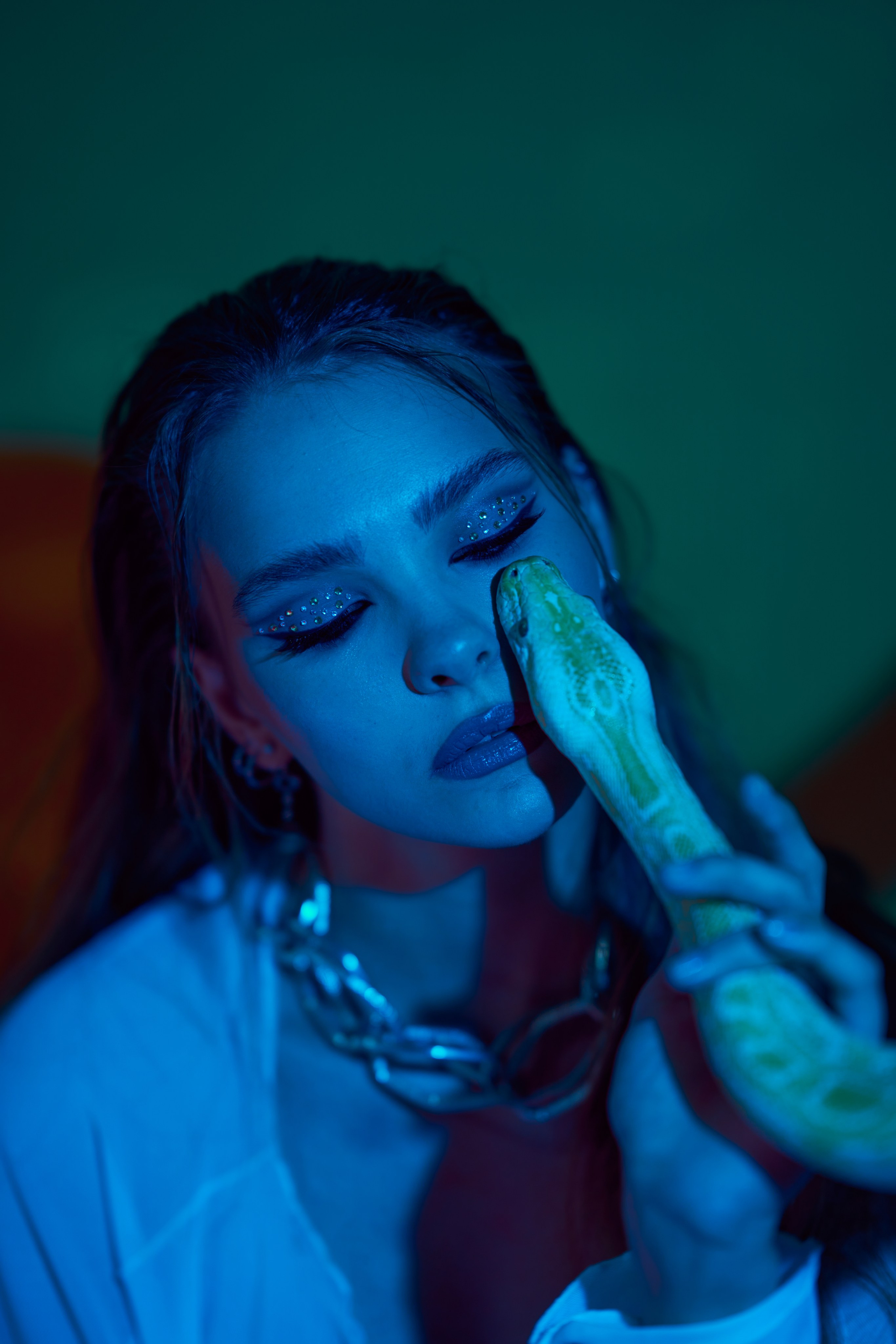 Фотосессия с символом 2025 года. Профессиональный Фотограф и Видеооператор