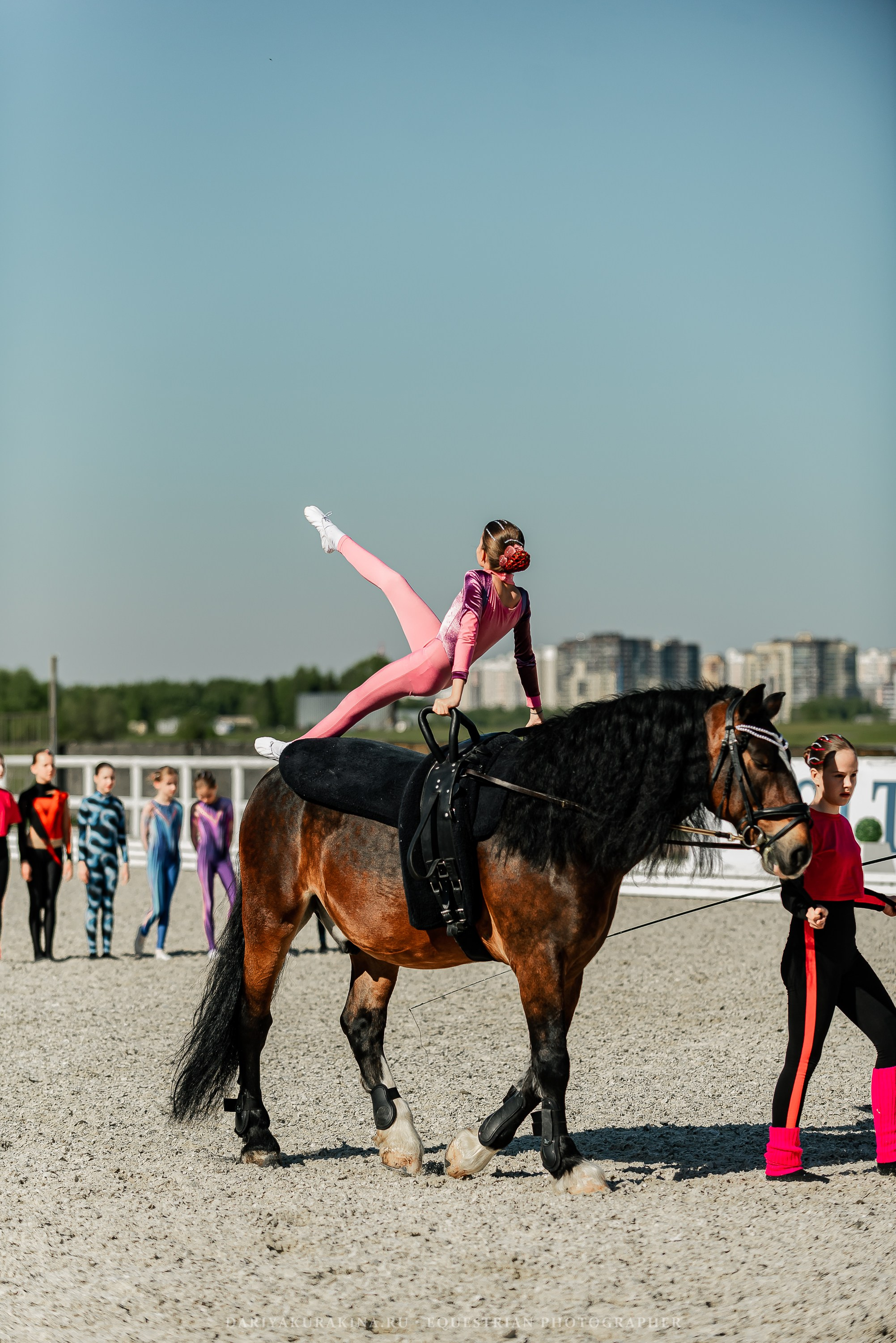 РЕПОРТАЖ МКК ВОЛЬТ «LA TULIPS». Конный фотограф Куракина Дарья • Фотосессии с лошадьми