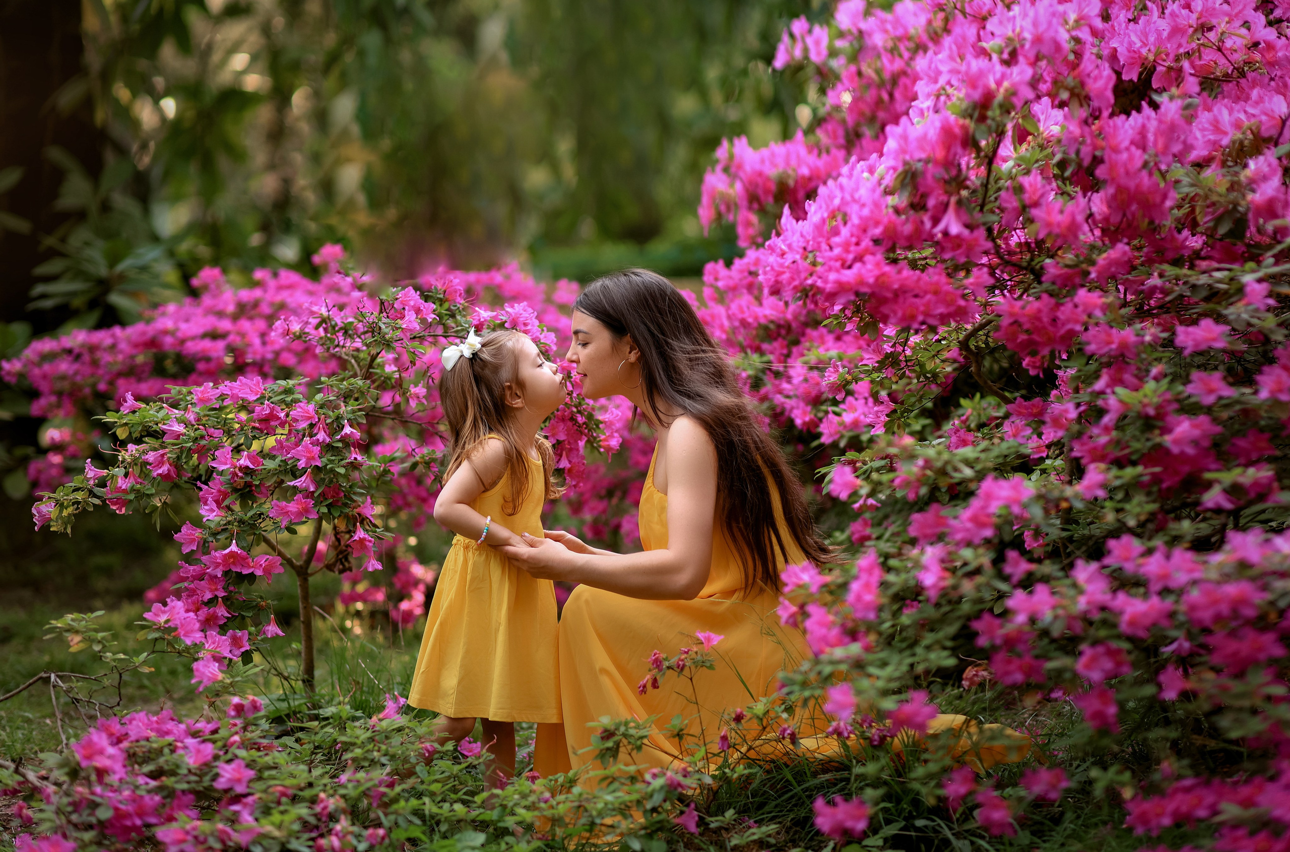 Цветение. Магнолия. Сакура. Фотограф в городе Сочи
