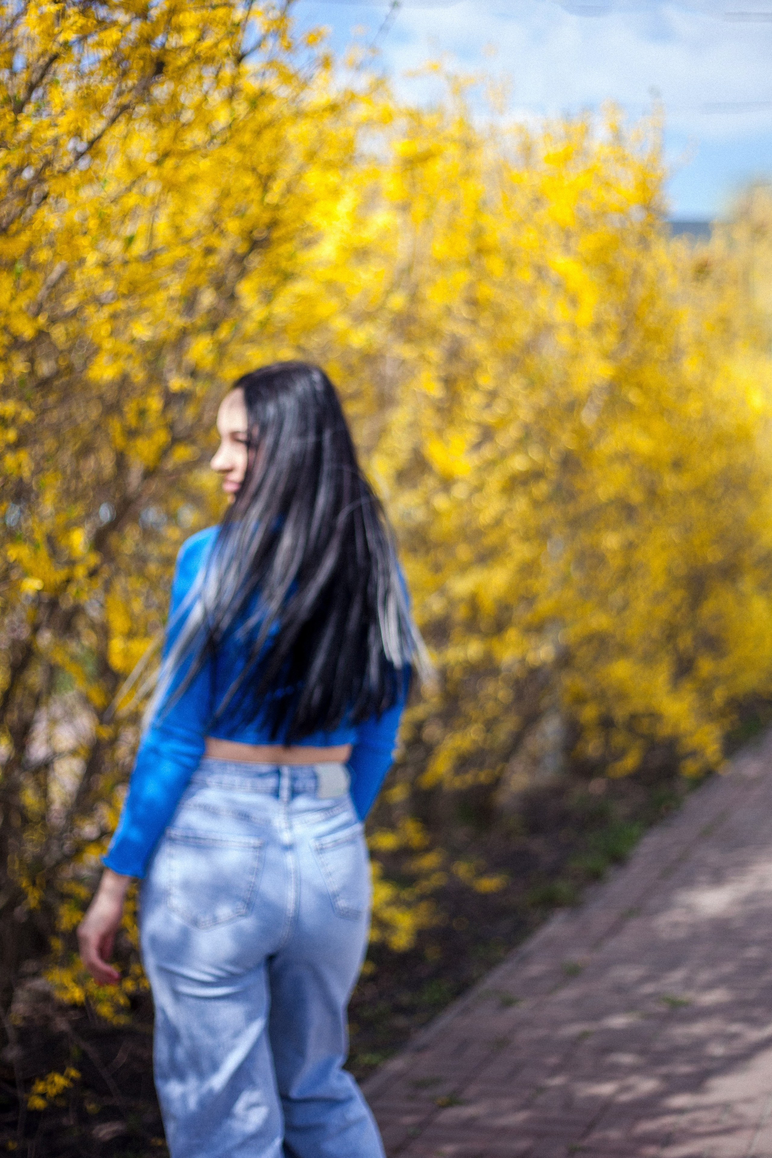 Аллея у Лицея № 1. Портретный, семейный, свадебный фотограф в Брянске Маргарита Василькова