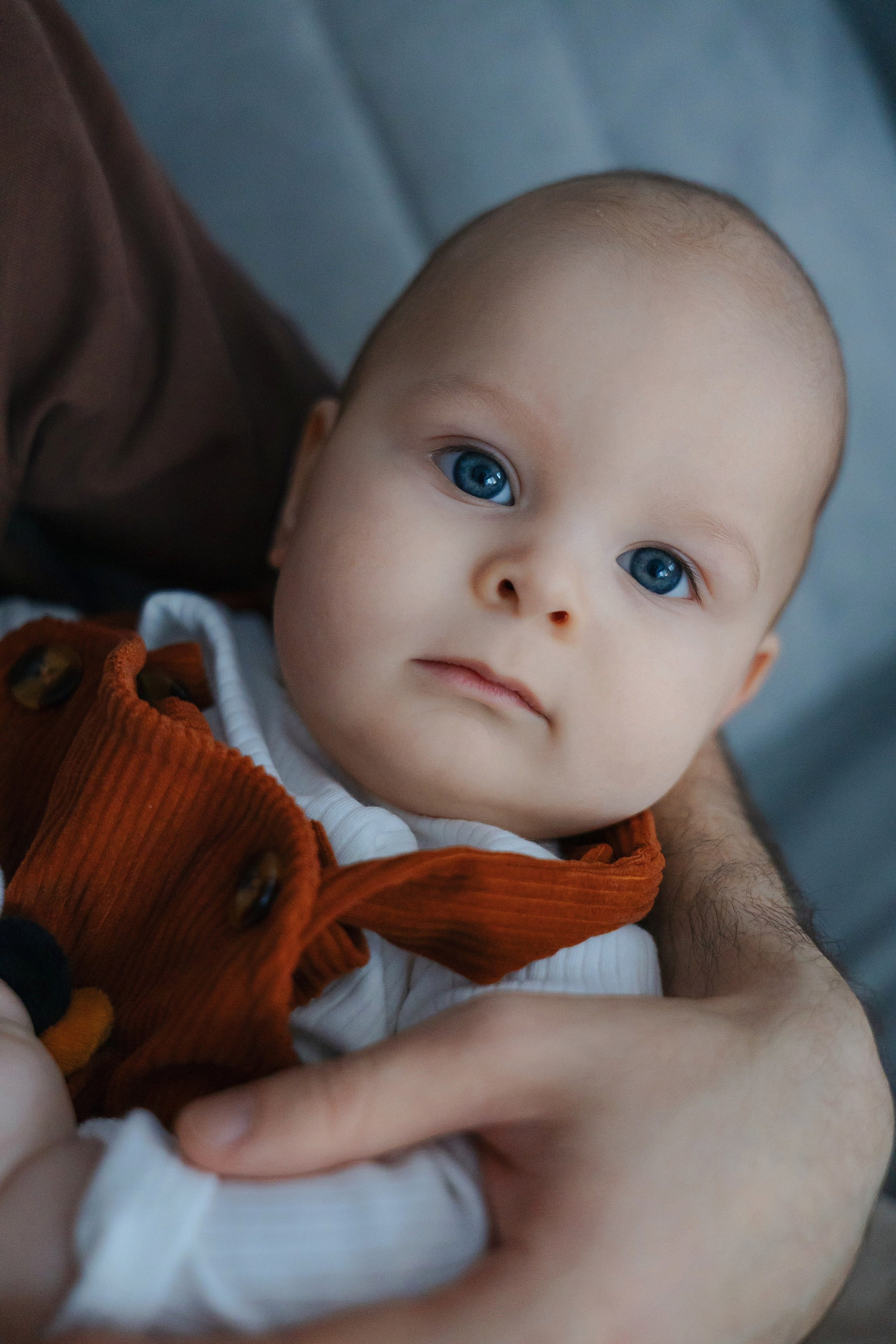 Илюшe 6 месяцев. Семейный и детский фотограф в Москве Александра Мак