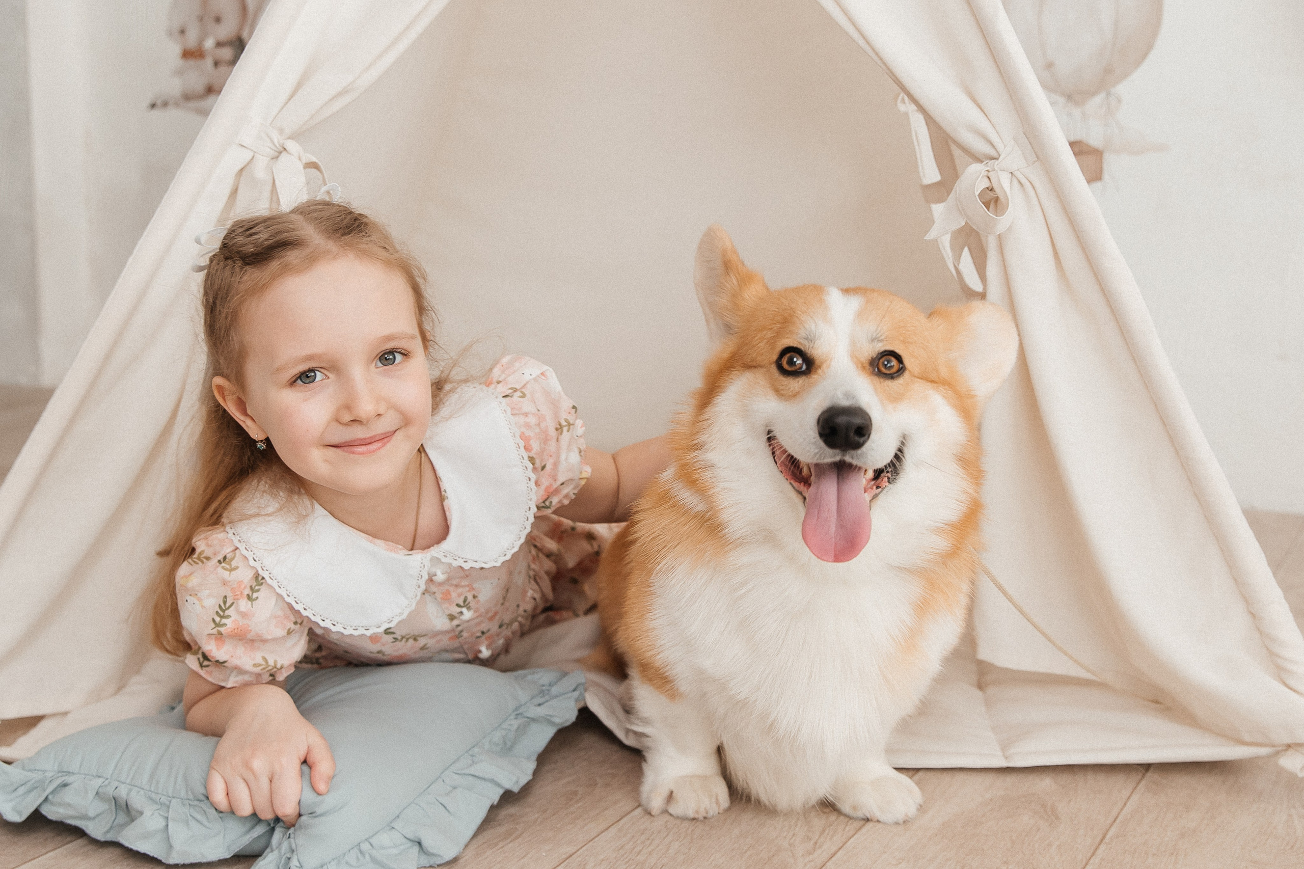 Фотопроект с корги🐶