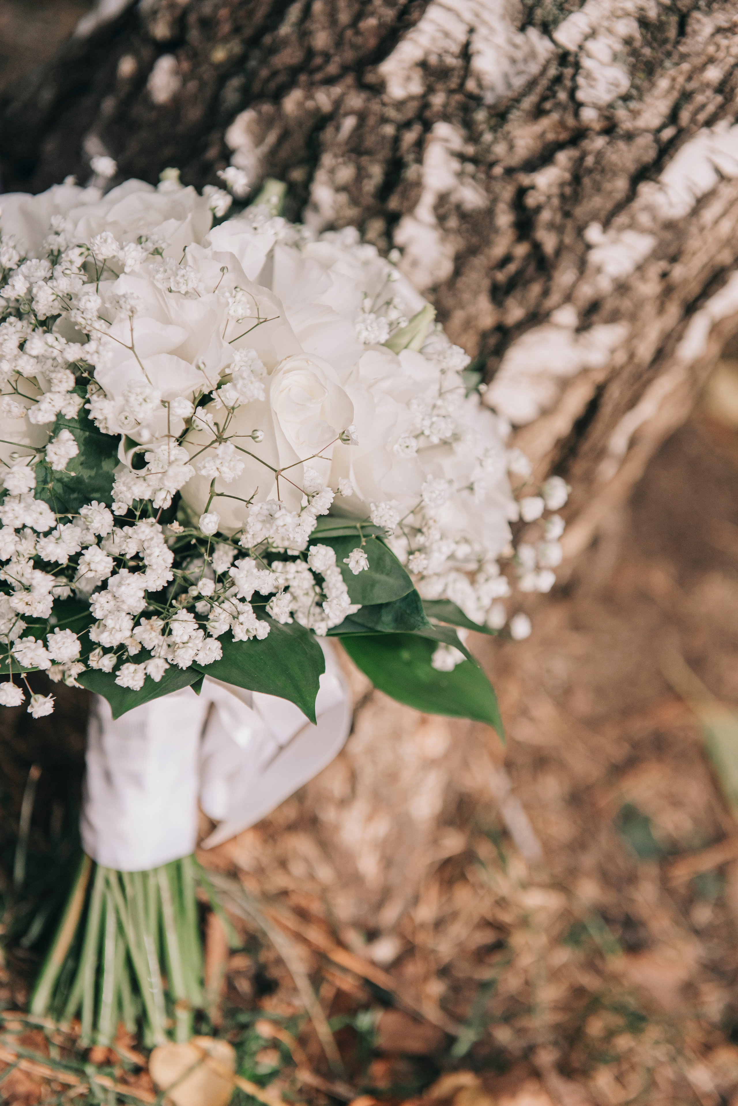 Свадьба Алексея и Софьи. Фотограф в Краснодаре Зеленкина Дарья