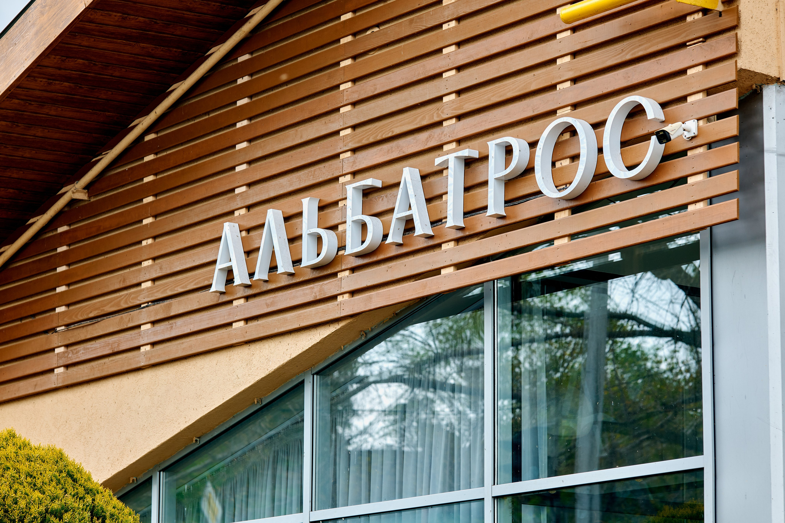 Мир. Труд. Май. Альбатрос. Фотограф Таганрог Анна Трайжон