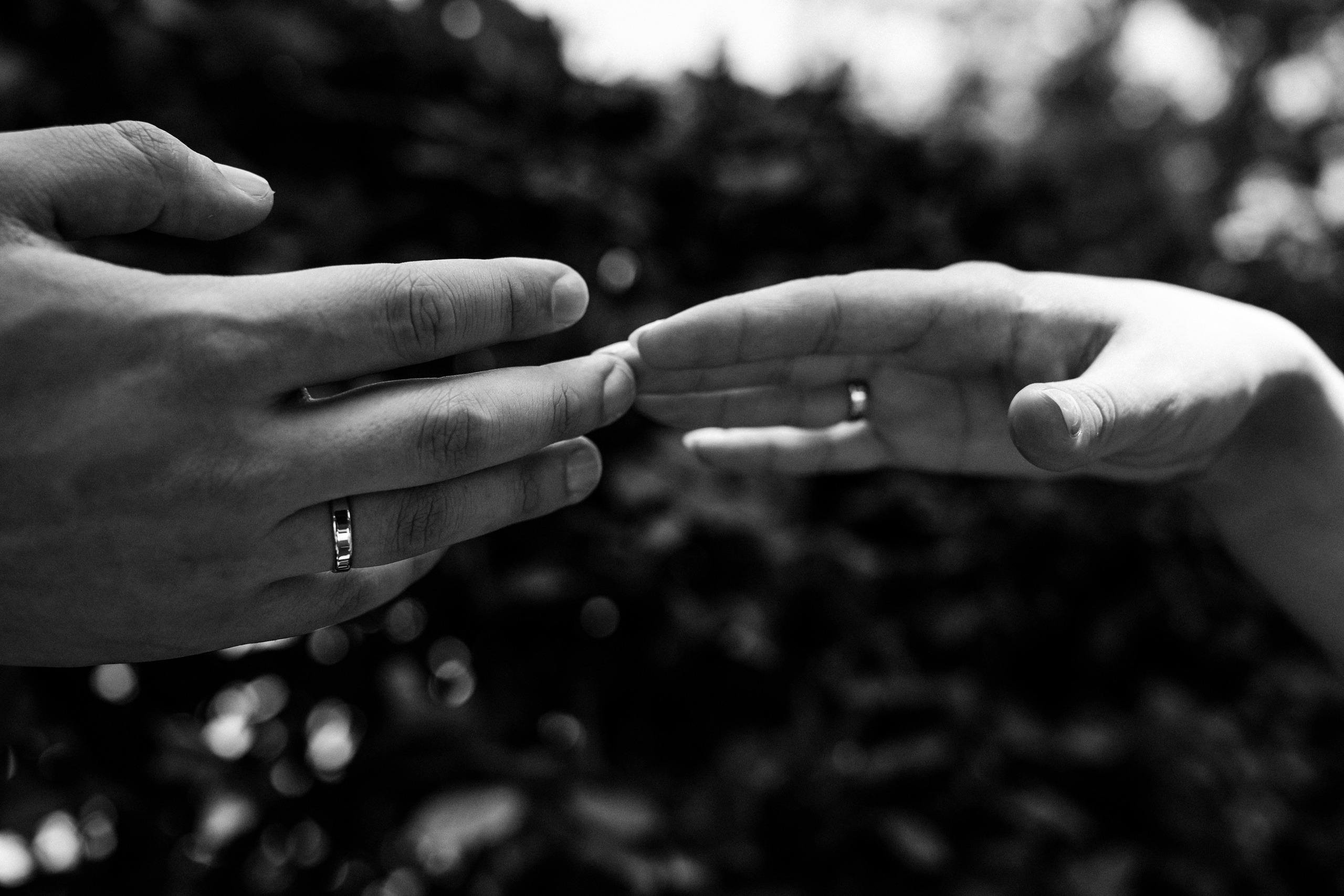 Свадебные фотографии. СВАДЕБНЫЙ ФОТОГРАФ КРАСНОДАР