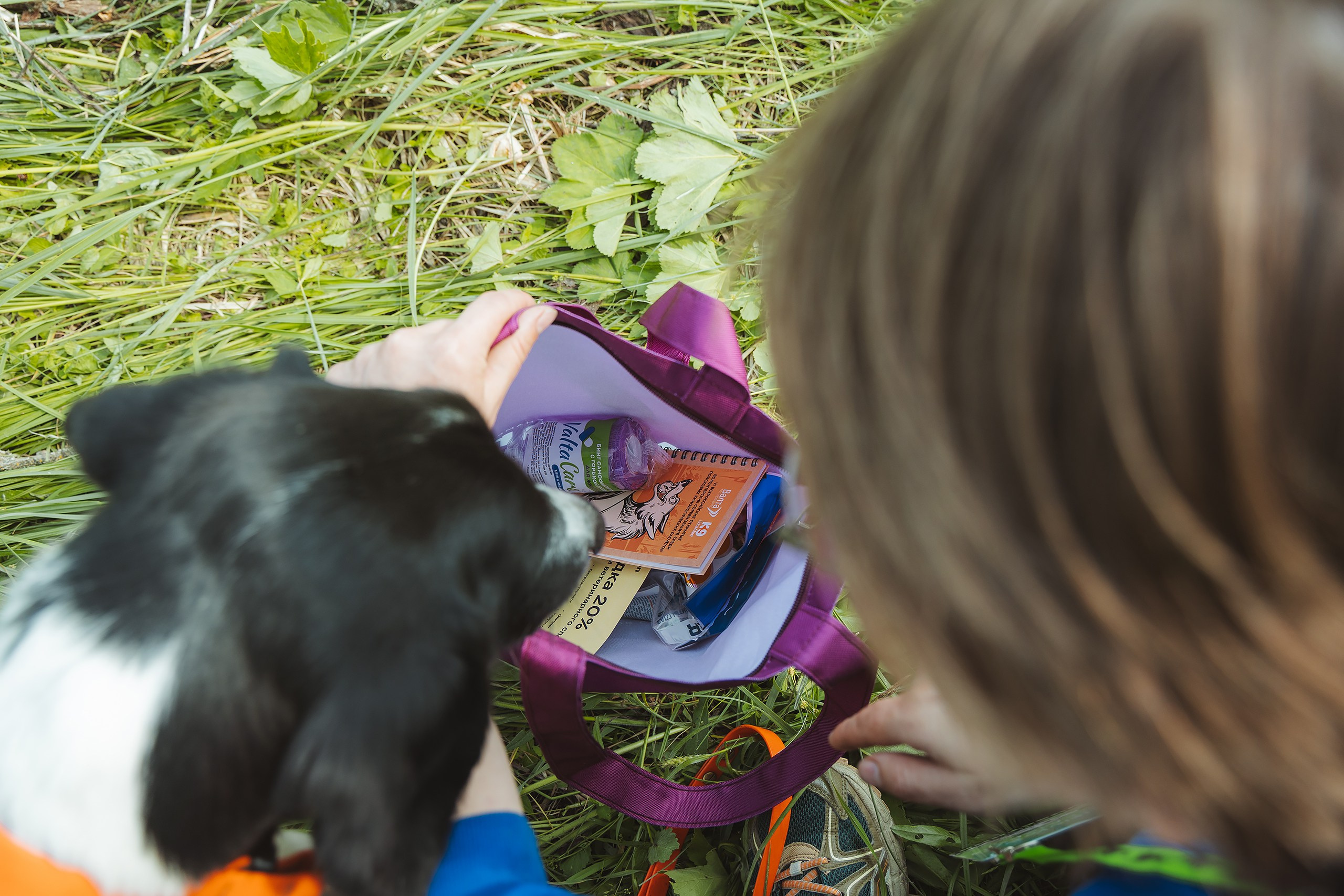 VI открытые волонтёрские соревнования среди поисковых кинологических расчётов. Фотограф Ирина Астор
