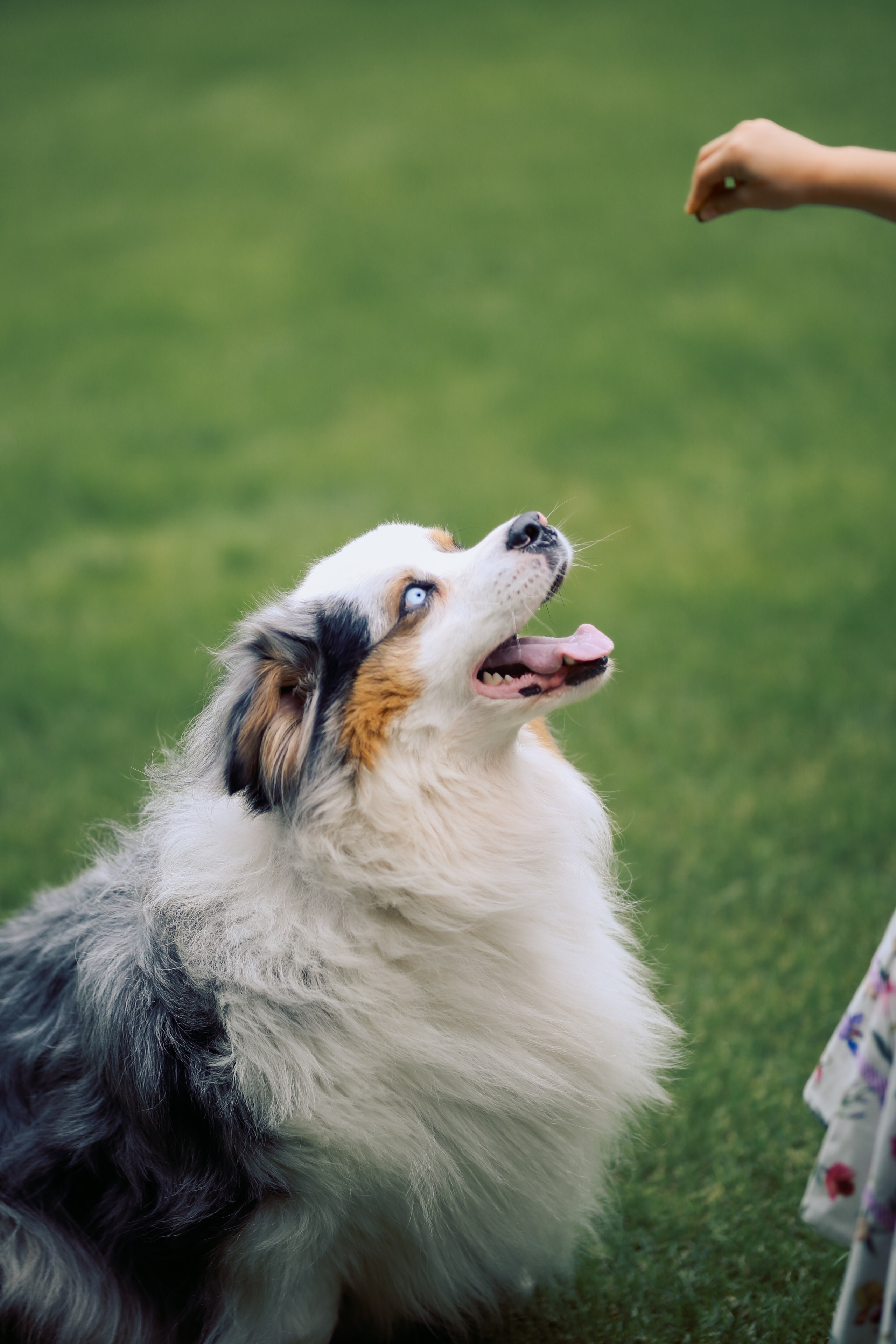 Юлия с семьей. Фотограф Анастасия Залевская