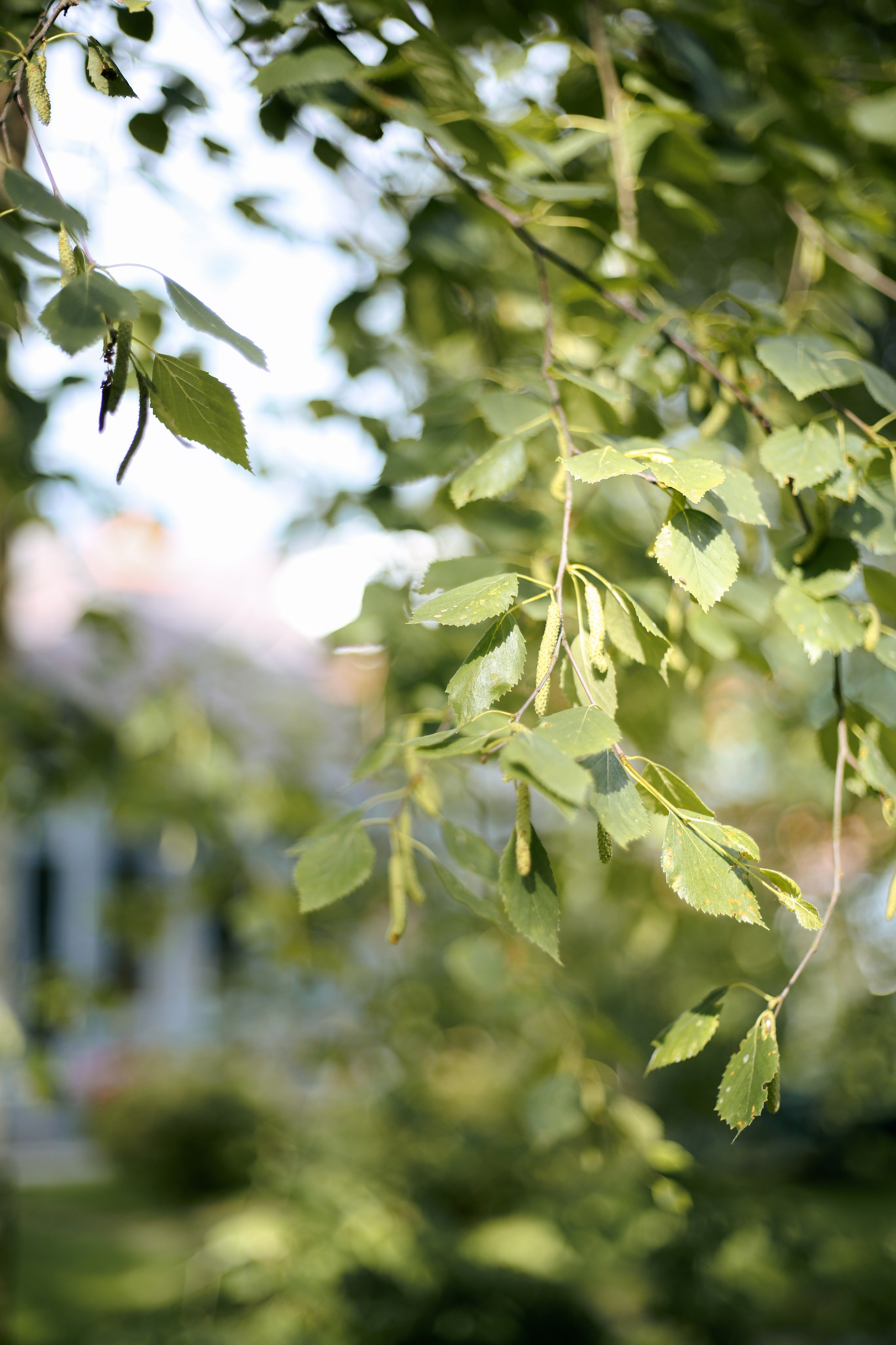 Юлия с семьей. Фотограф Анастасия Залевская