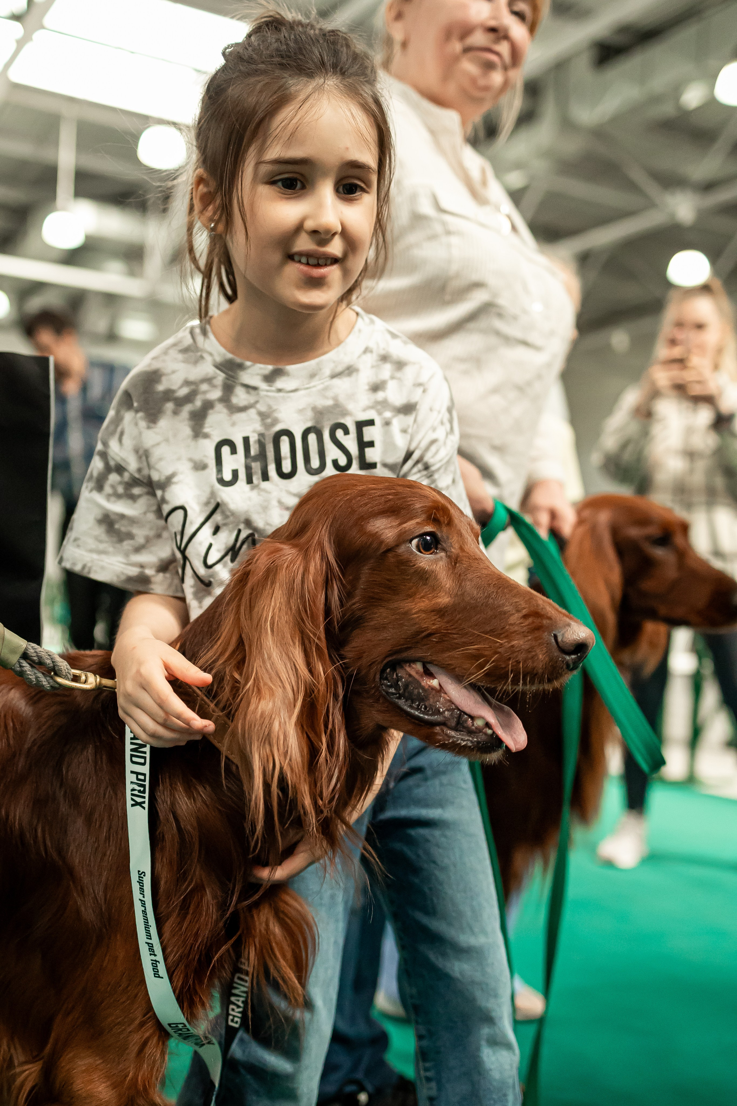 Выставка сеттеров 19.05.24
