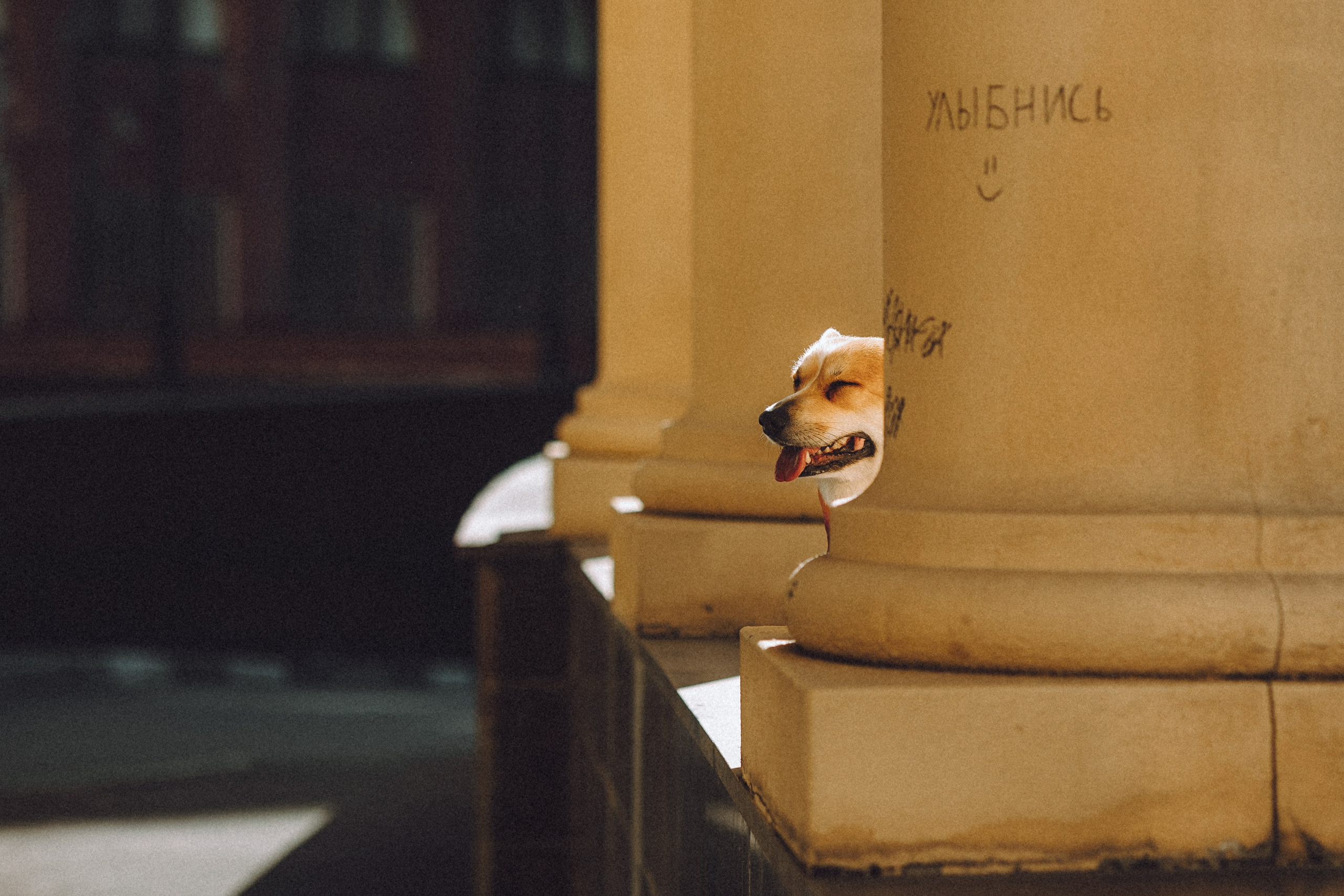 Вика и Мейзи