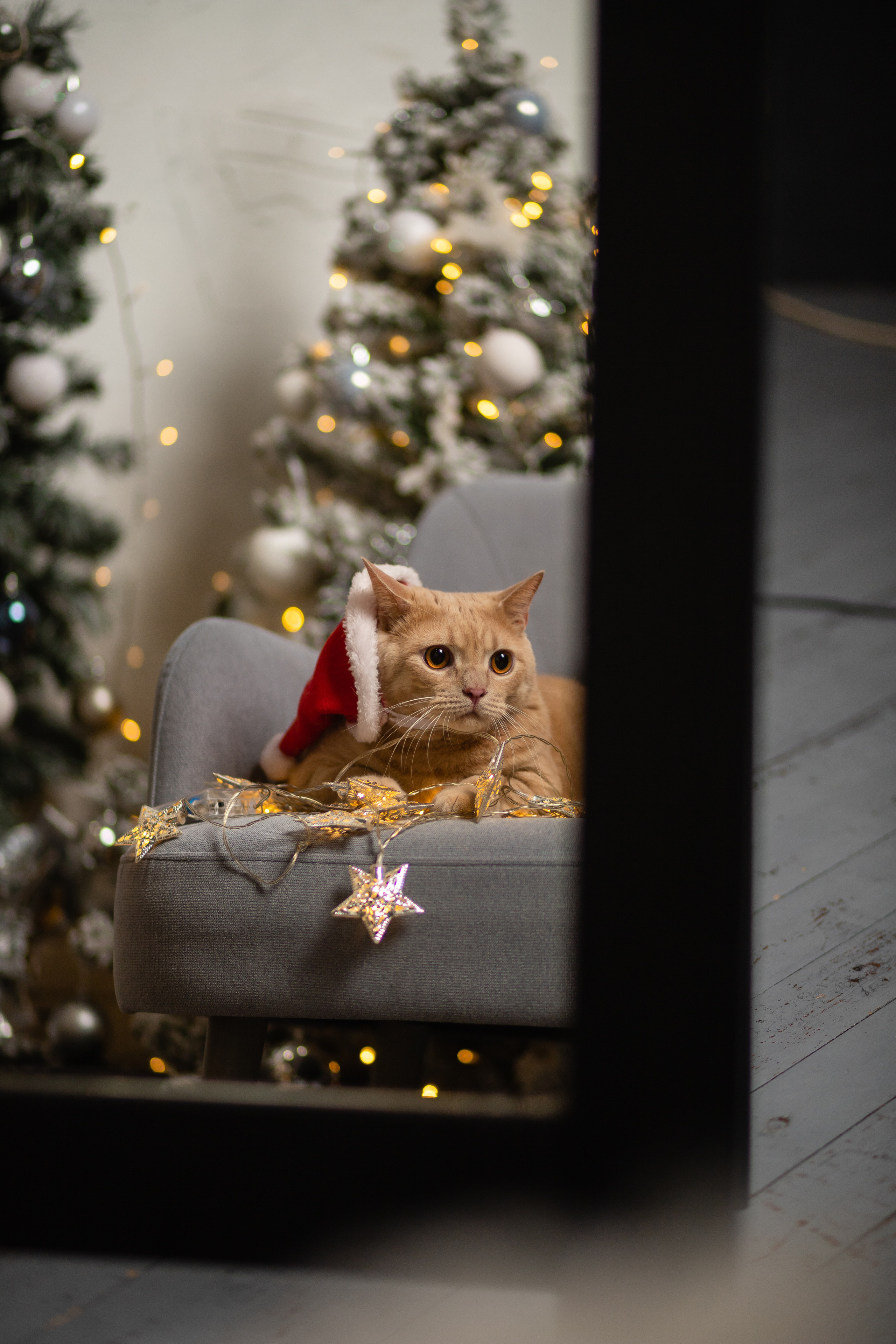 Marina&Barny. Oleg Petrov — Photographer in Minsk