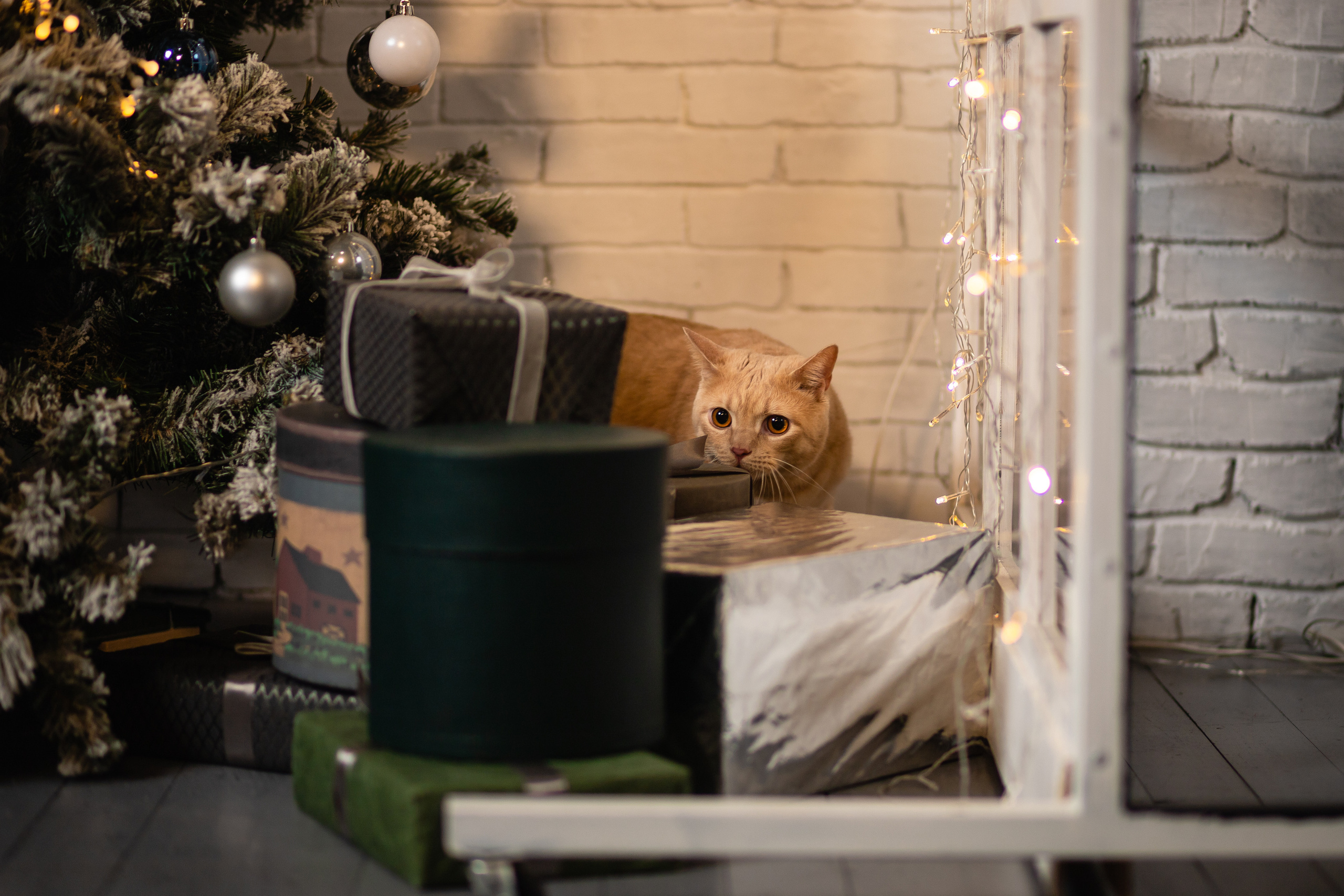 Marina&Barny. Oleg Petrov — Photographer in Minsk