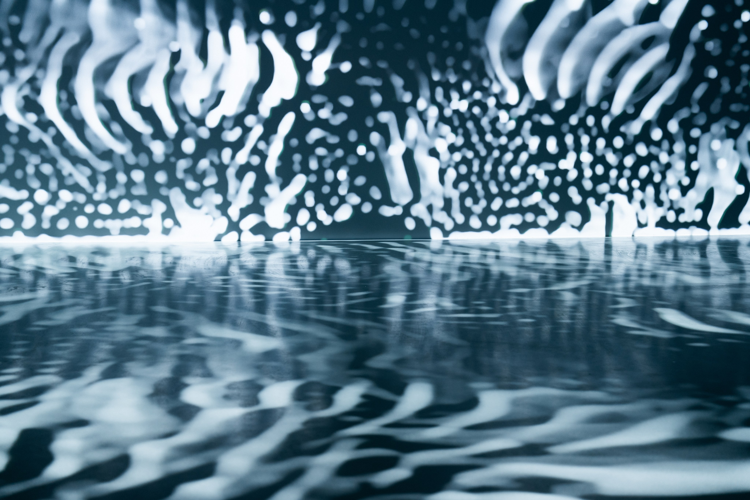 Generative Gallery & Luminar X, Making Magic. @tomrus: Рустам Шагиморданов — фотограф