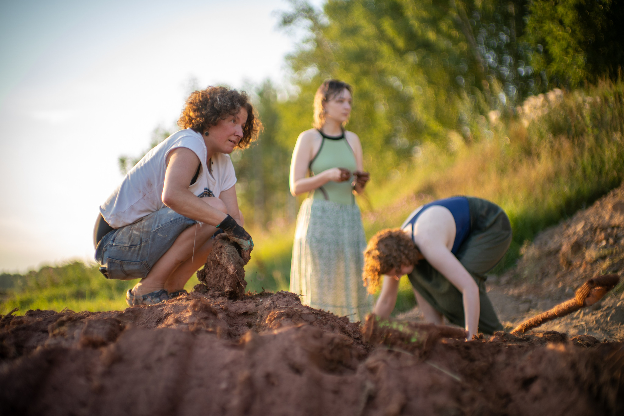 Wild fire 2024 — Дикий огонь 2024