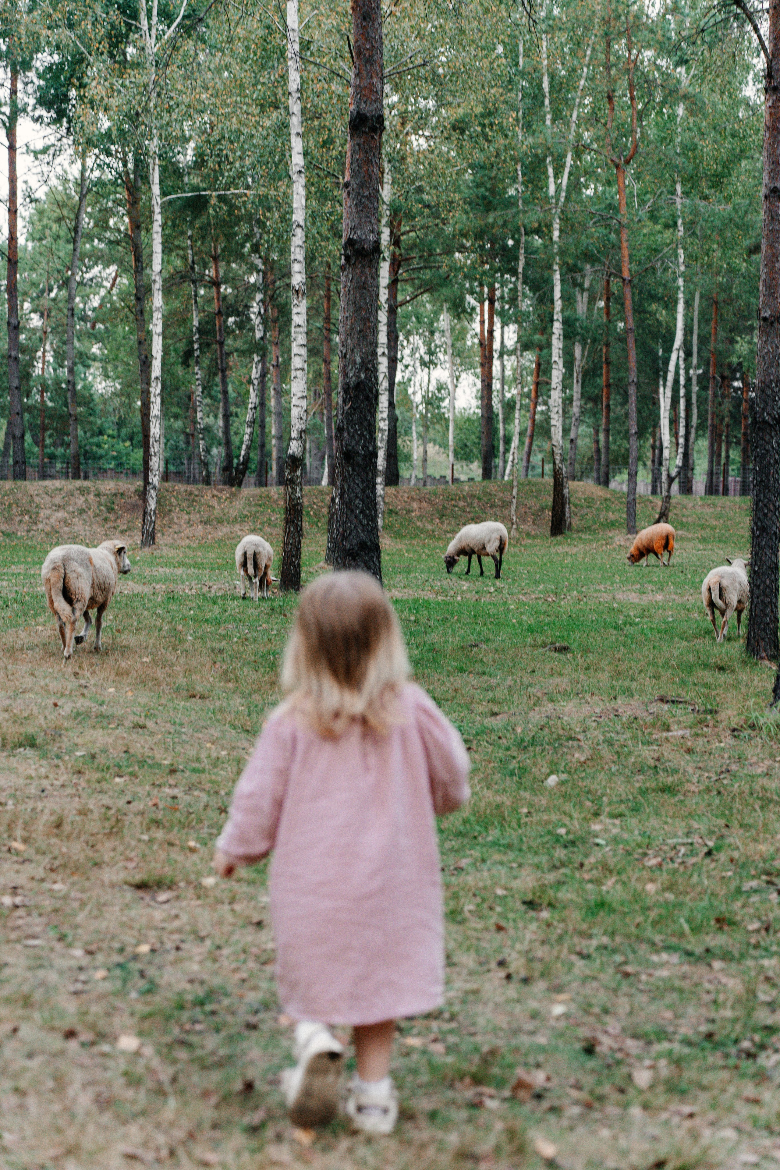 Диприз — в мире диких животных. Ваш семейный фотограф в Минске — Вика Трегубова