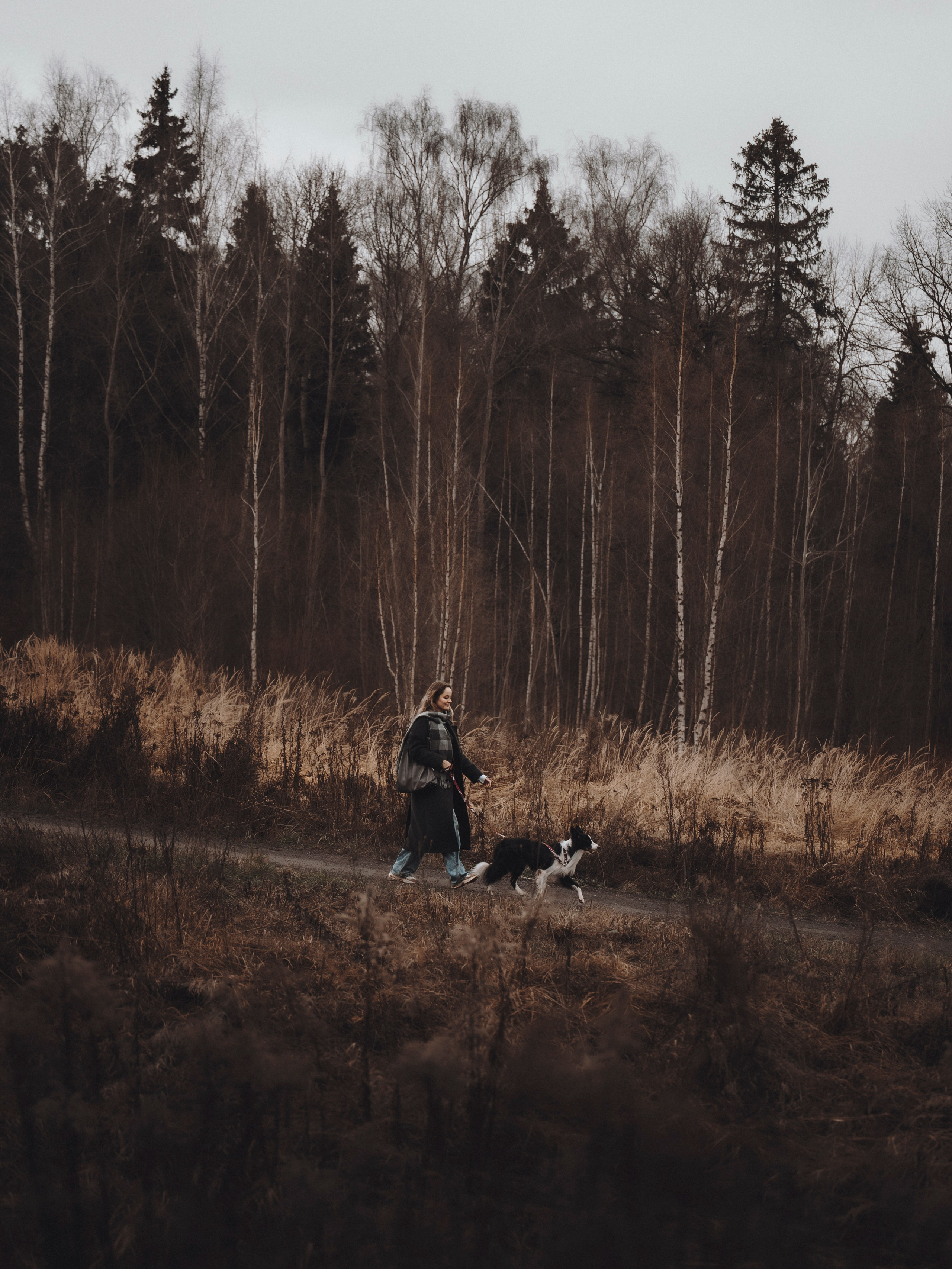 Даша и Того. Семейный фотограф анималист Ананьева Мария — Москва