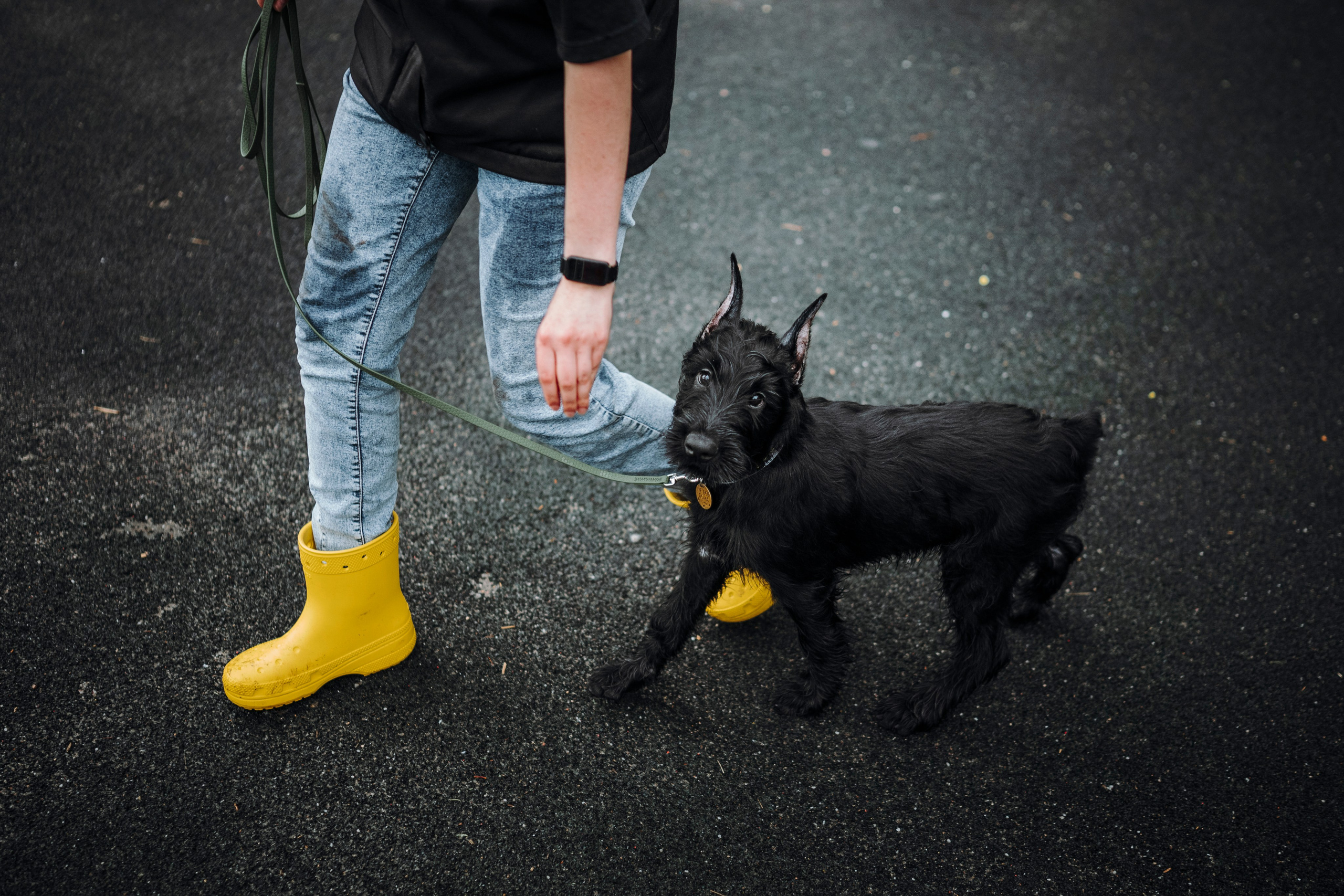 Даша и Умбра. Семейный фотограф анималист Ананьева Мария — Москва