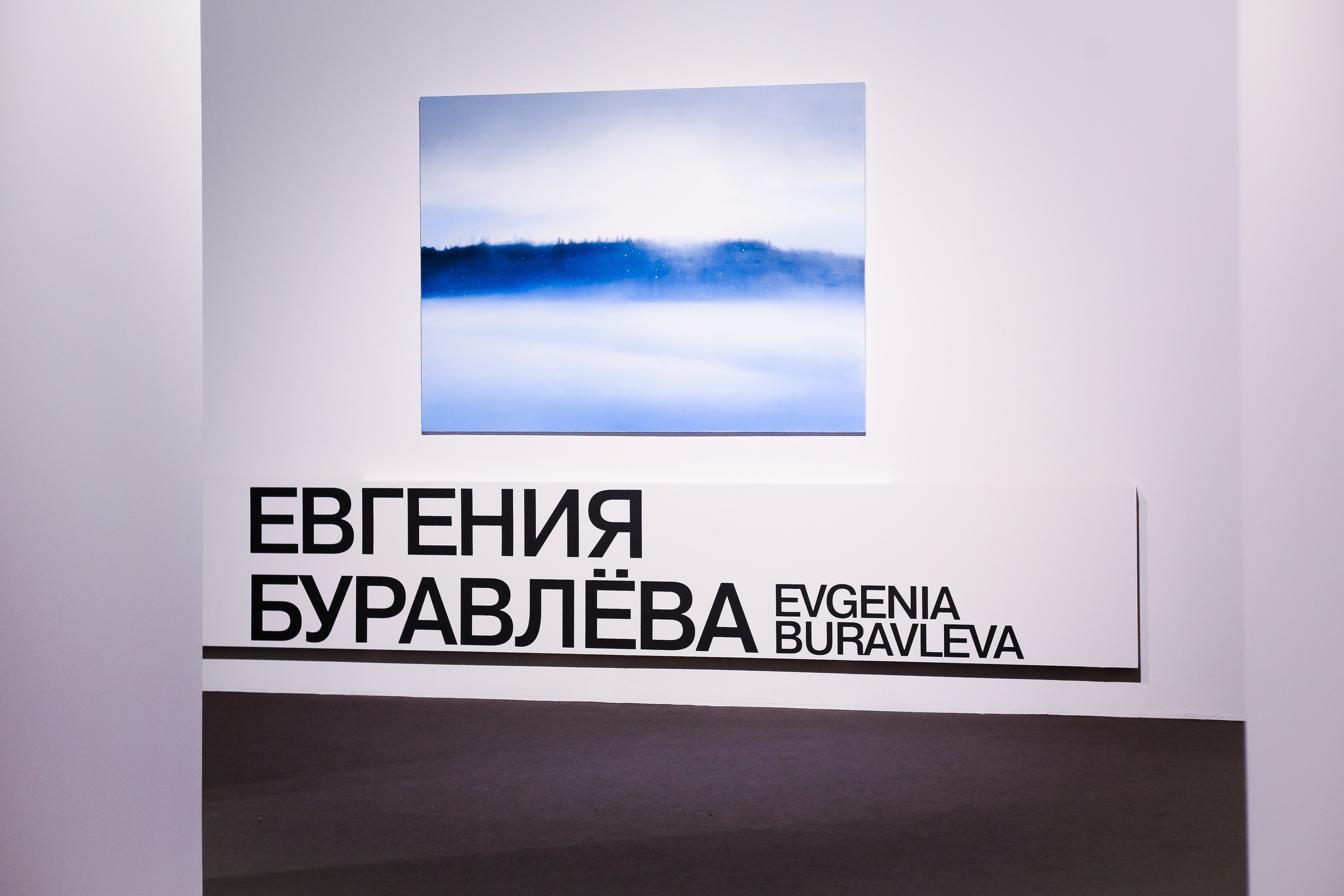 VIII Московская биеннале современного искусства. Дарья Письменюк / Darya Leitstern — фотограф, музыкант, журналист, путешественник