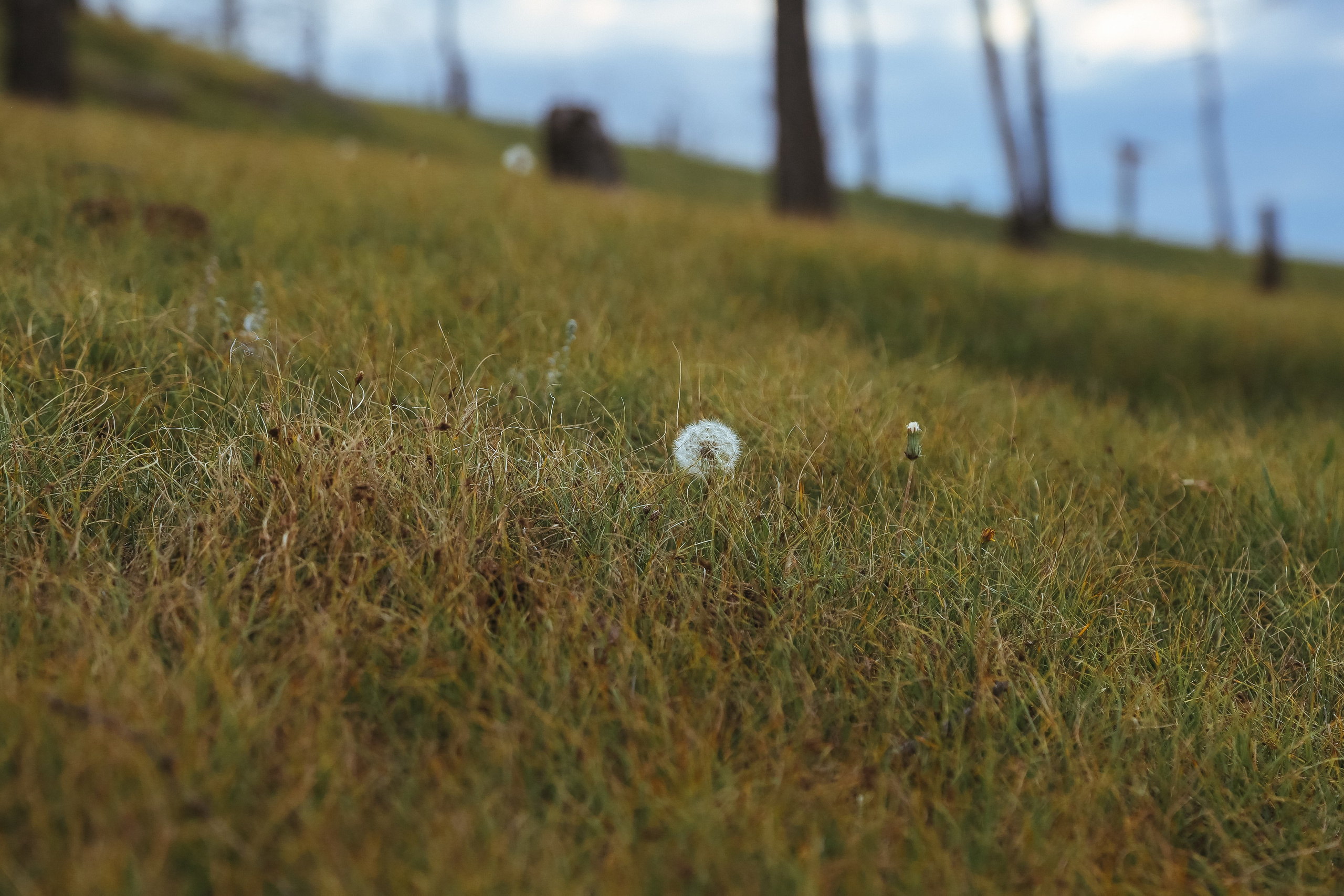 Байкал летний: легенды и святыни. Дарья Письменюк / Darya Leitstern — фотограф, музыкант, журналист, путешественник