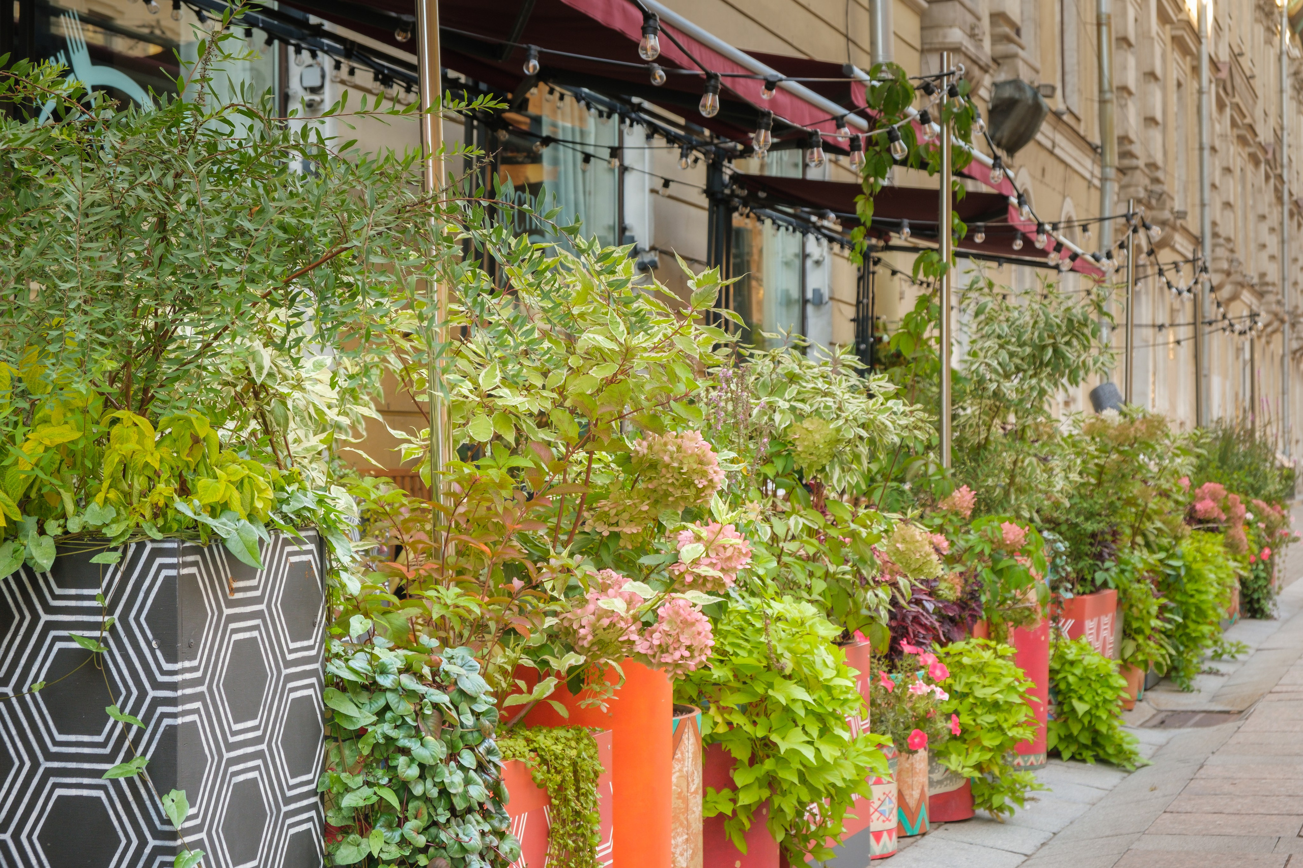 Озеленение