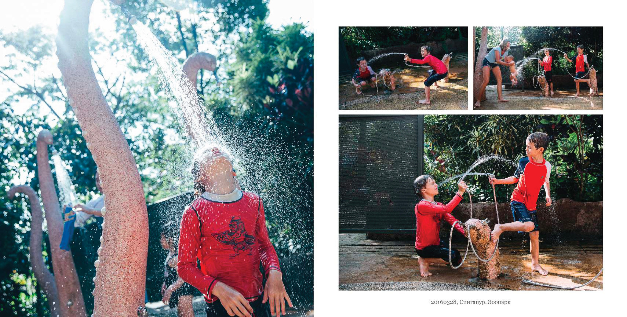 BEST FAMILY BOOK 2017