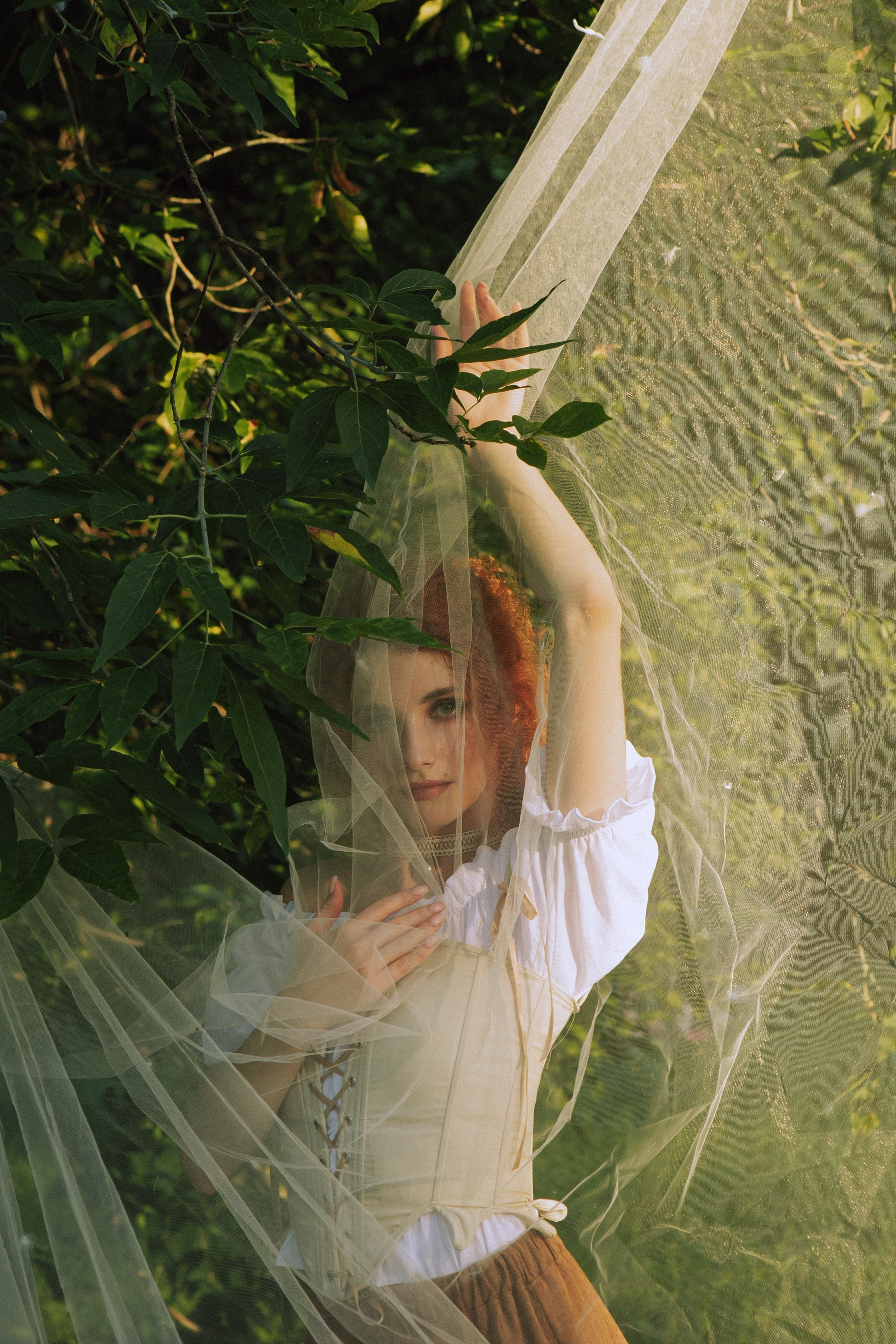 Пикник. Allirubrum