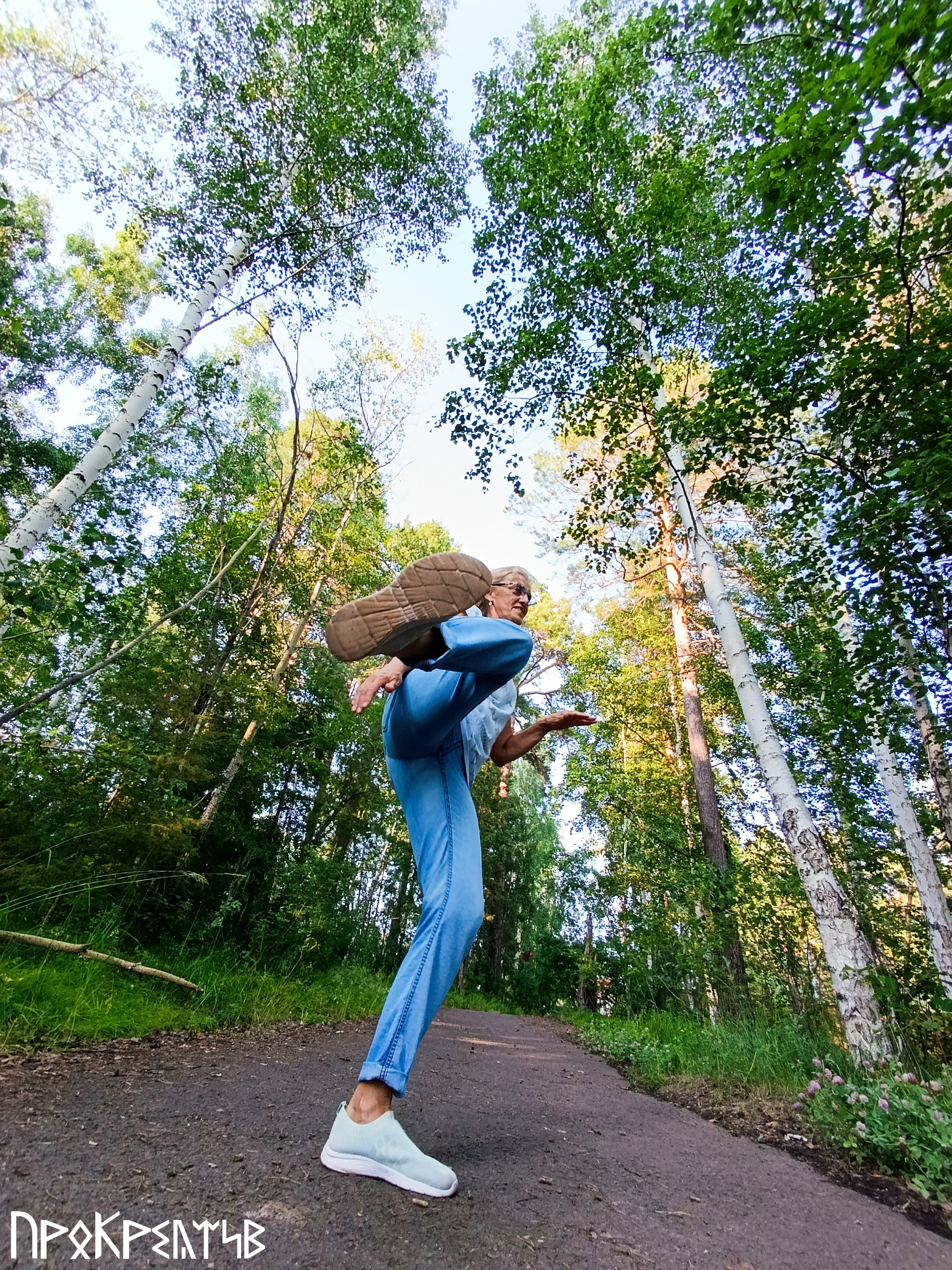Елена Шишкина