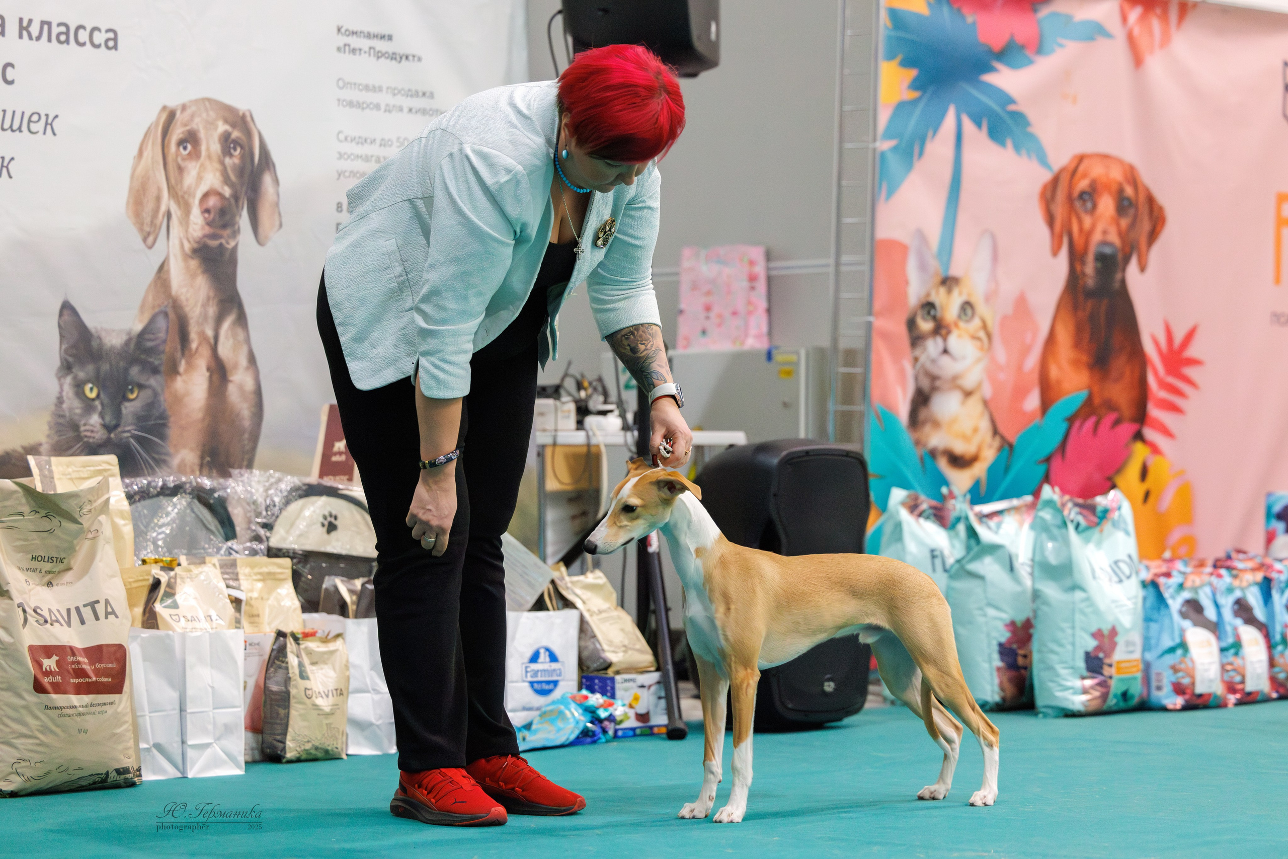 Гран-При 8.02.2025 и Крокус 09.02.2025. Фотограф-анималист Юлия Германика