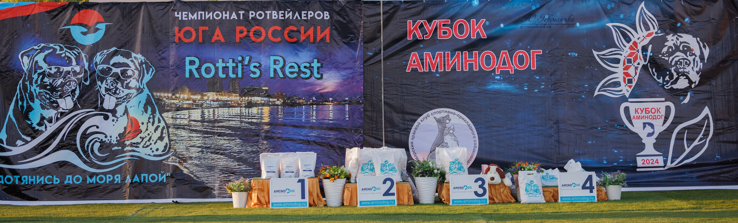 Анапа ротвейлеры 14-15.09.2024. Фотограф-анималист Юлия Германика