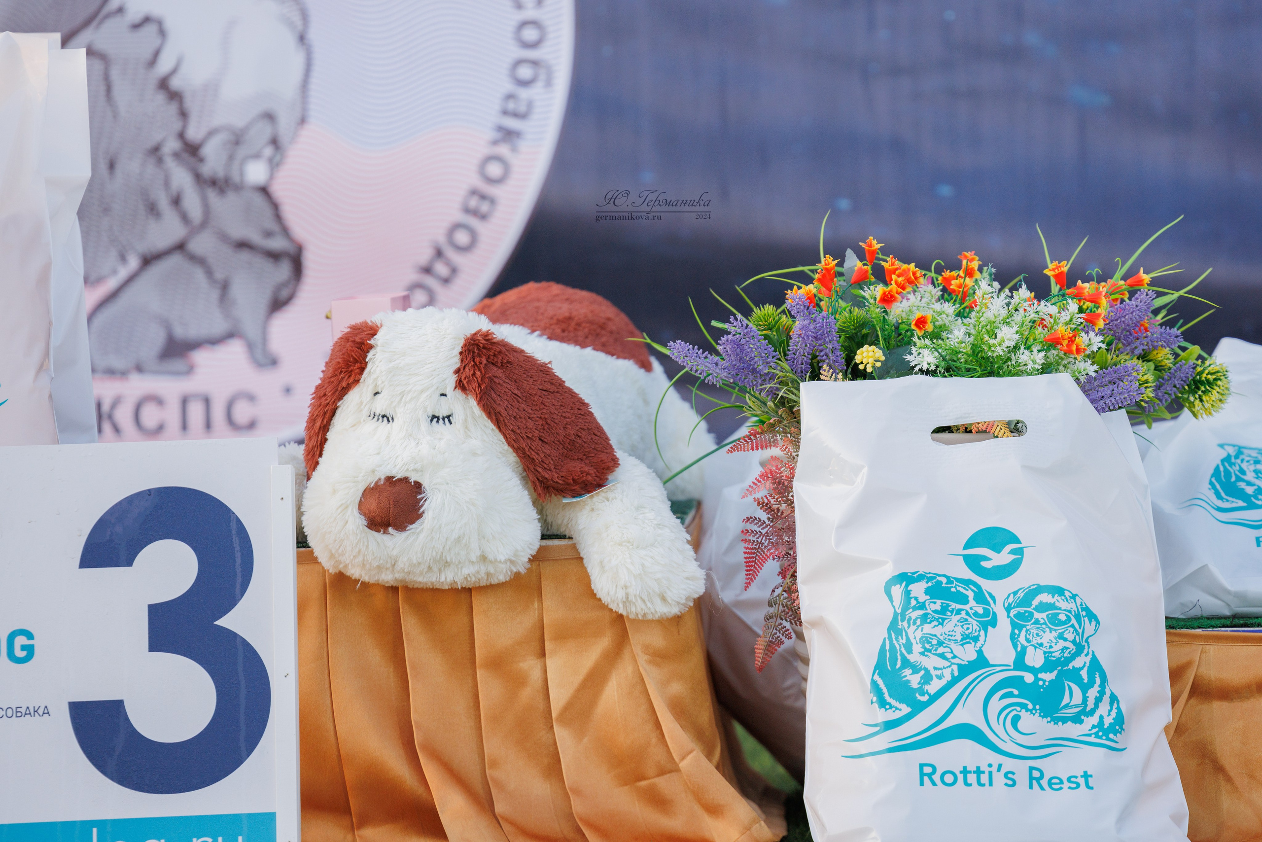 Анапа ротвейлеры 14-15.09.2024. Фотограф-анималист Юлия Германика