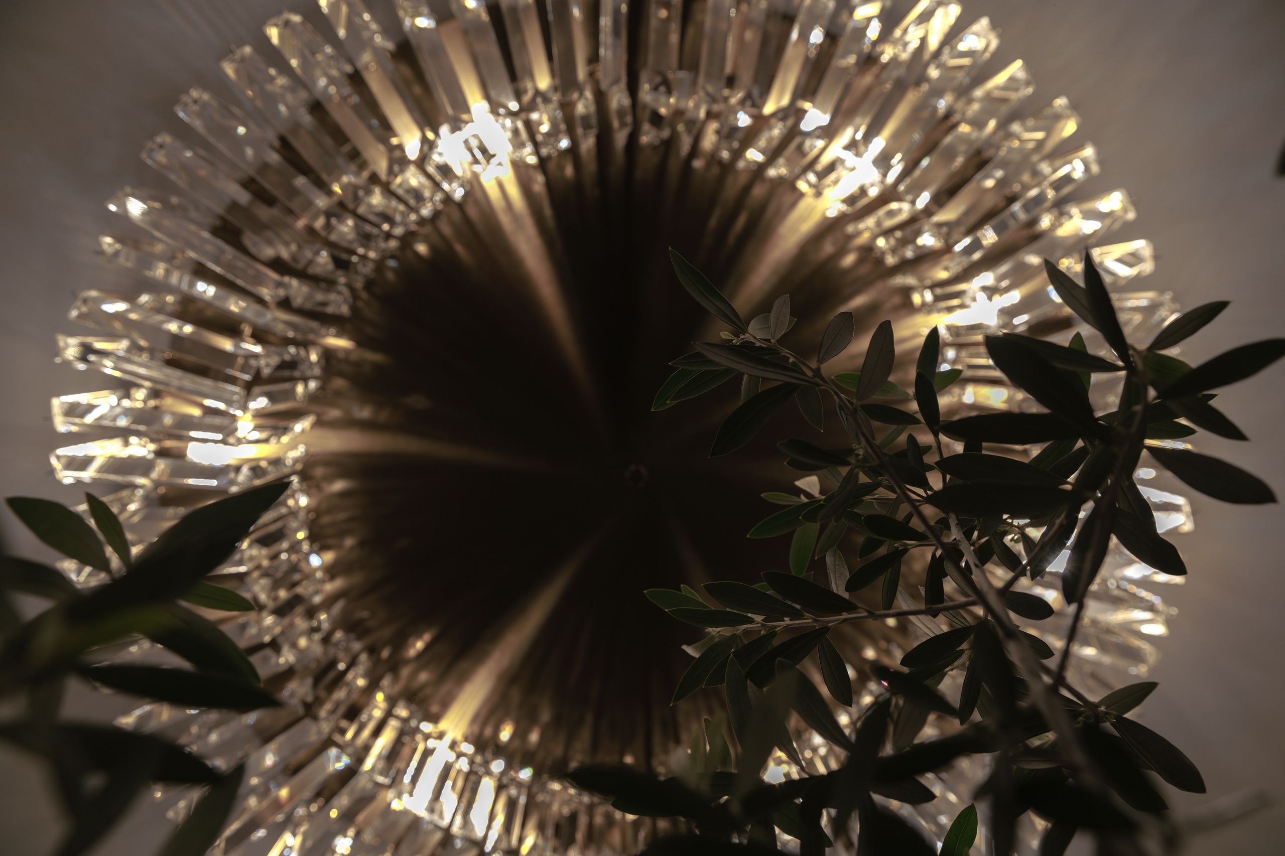 OFRIS. Репортажный фотограф в Санкт-Петербурге Жолудев Владислав