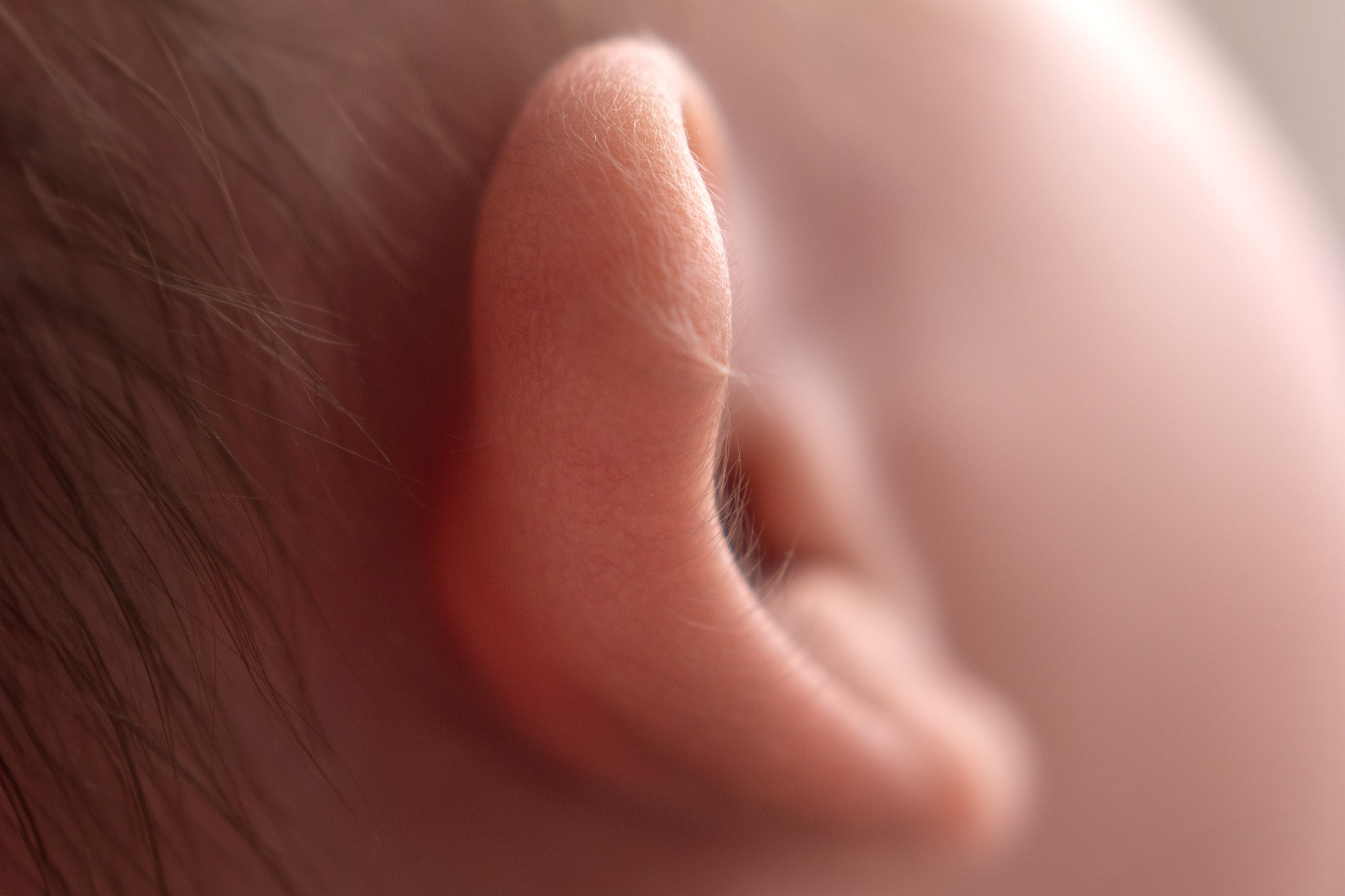 Фотосессия новорожденных Москва. Фотограф новорожденных в Москве Кристина Левит