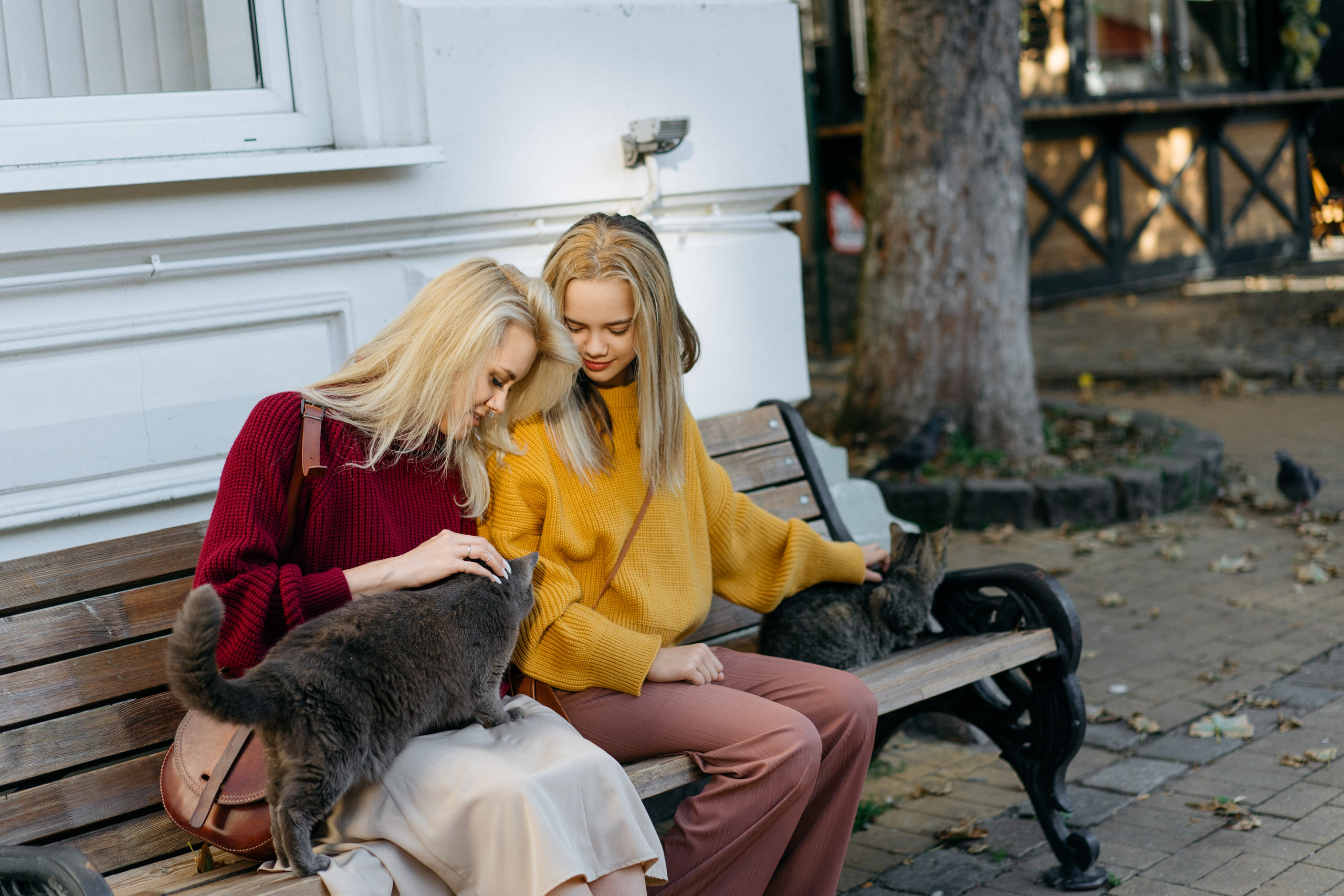 Зеленоградск. Свадебный и семейный фотограф в Калининграде Анастасия Гриценко