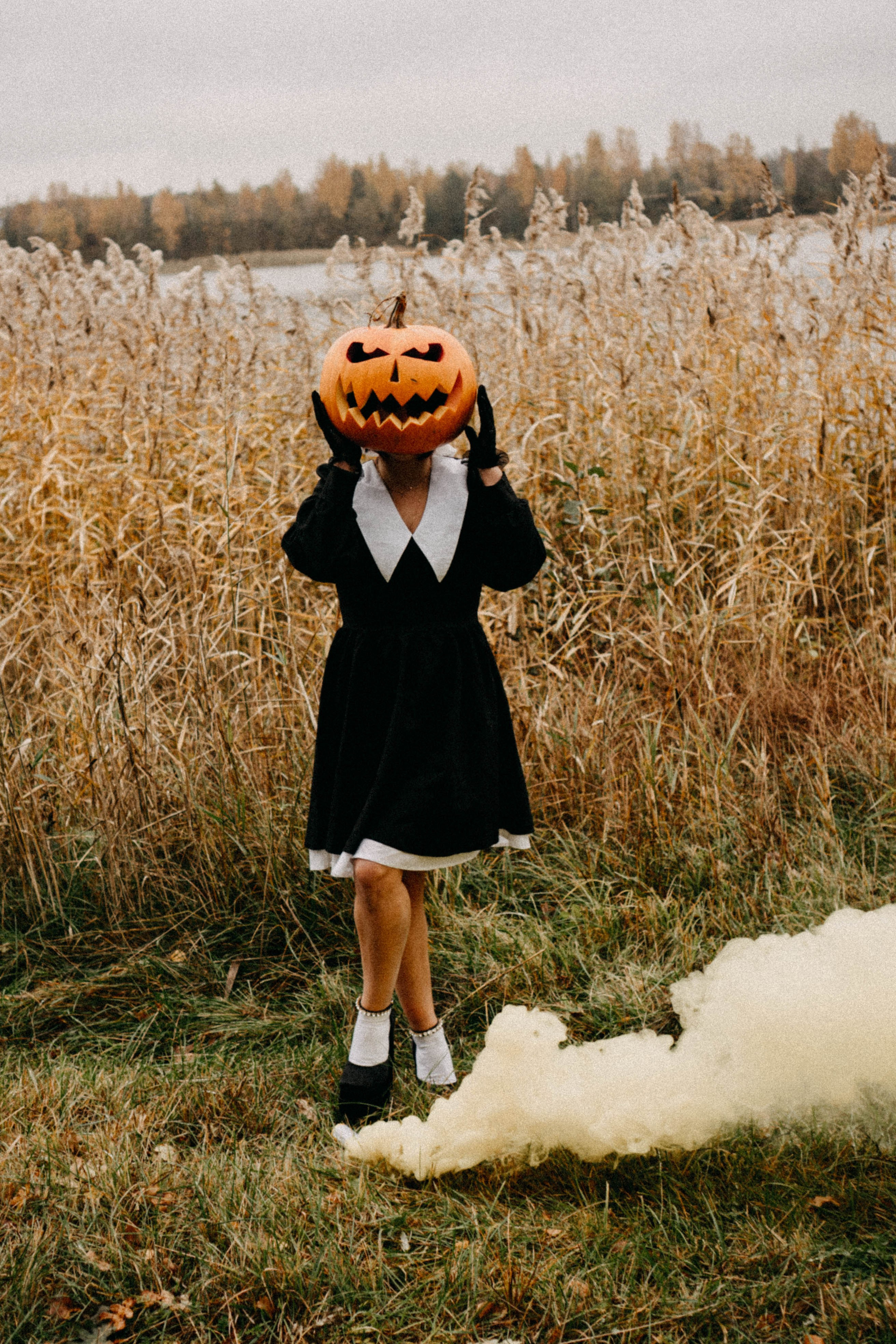 Осеняя. Профессиональный фотограф, Санкт-Петербург — Виктория Богомолова