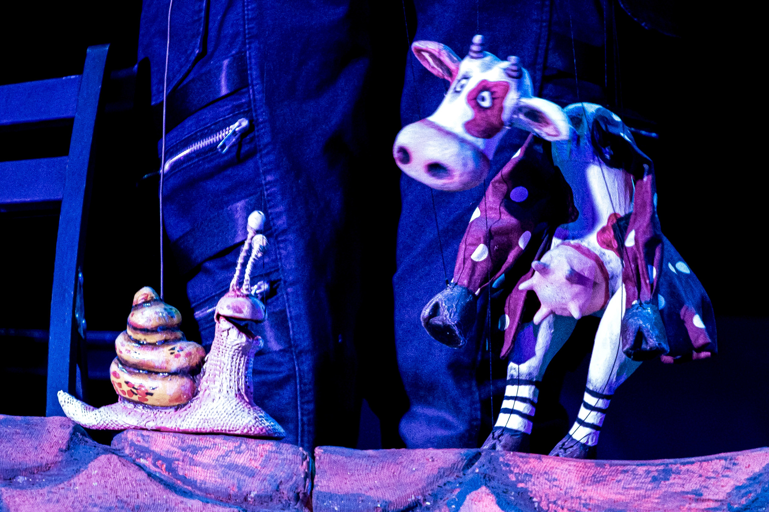 Человек с луны — спектакль кукольного театр Саквояж. Фотограф в Сочи Юрий Шептаев