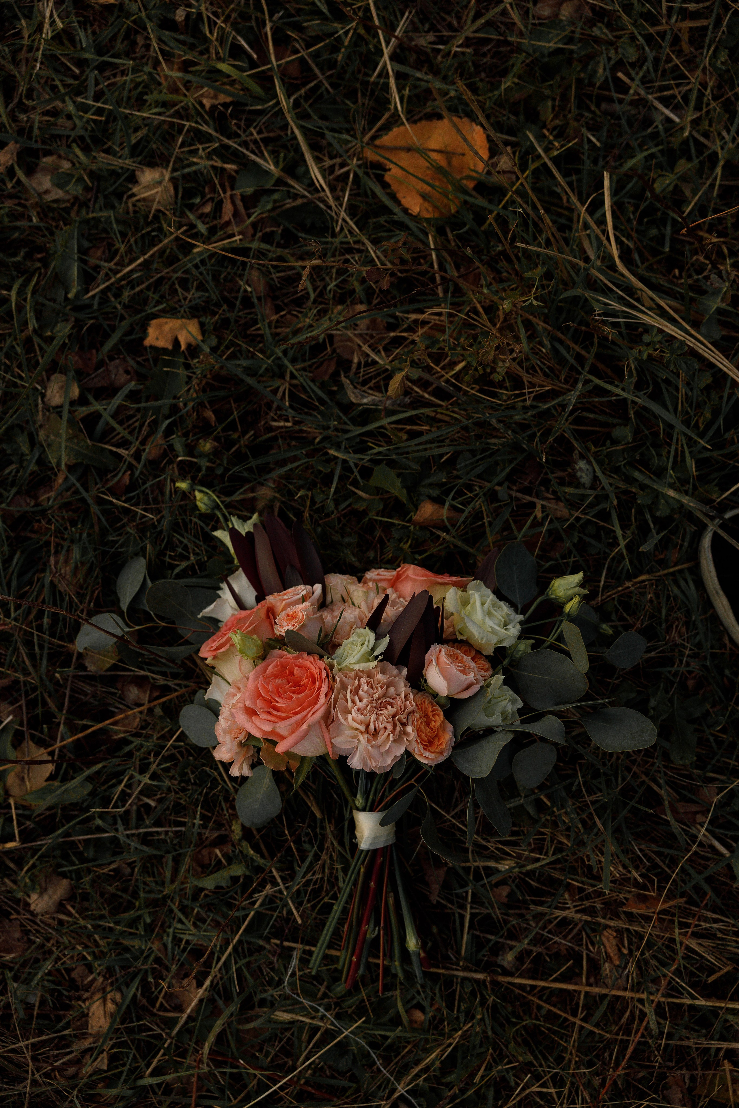 Ясная Поляна. Свадебный и семейный фотограф  во Владивостоке Ольга Украинец