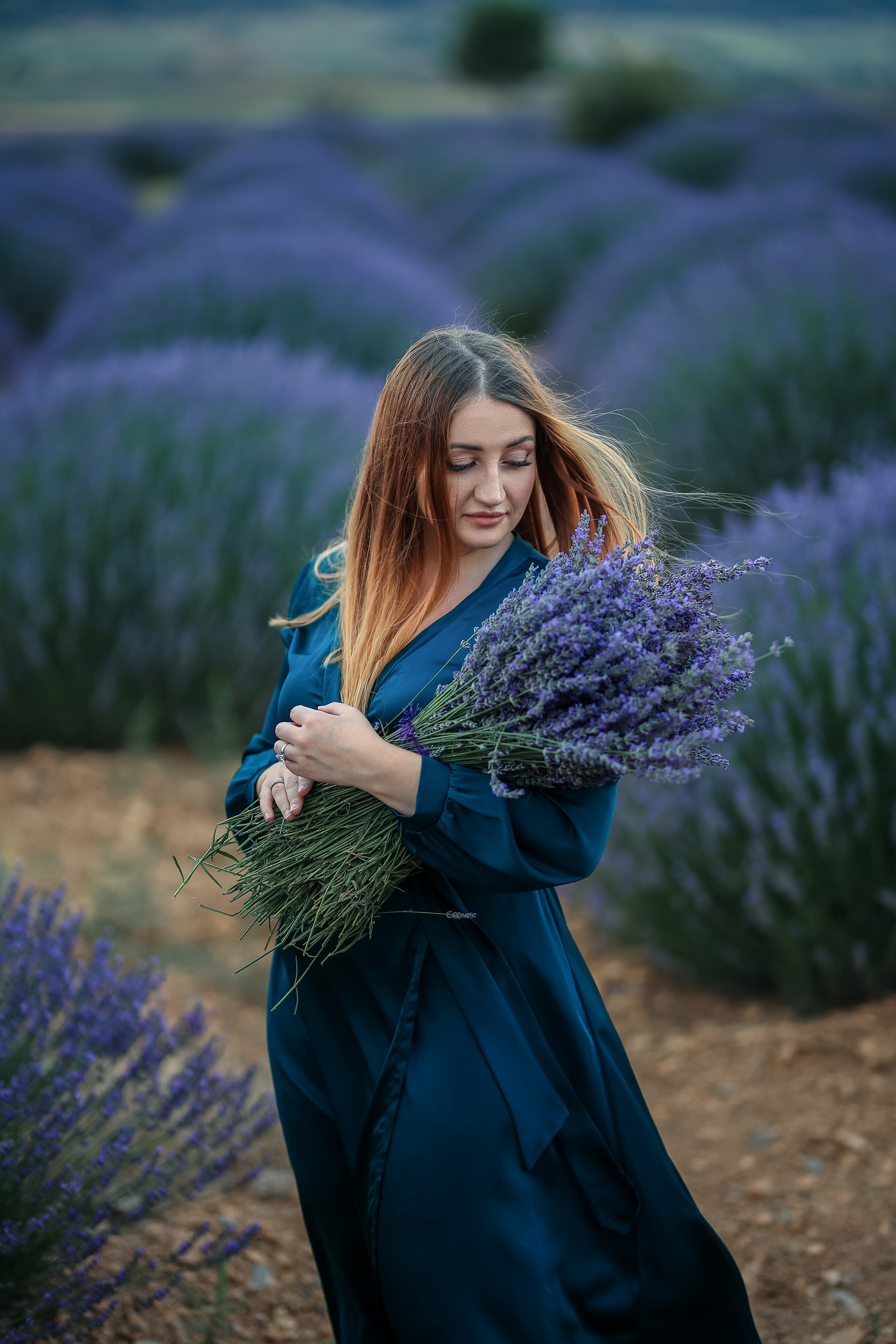 Lavender fields in Turkey