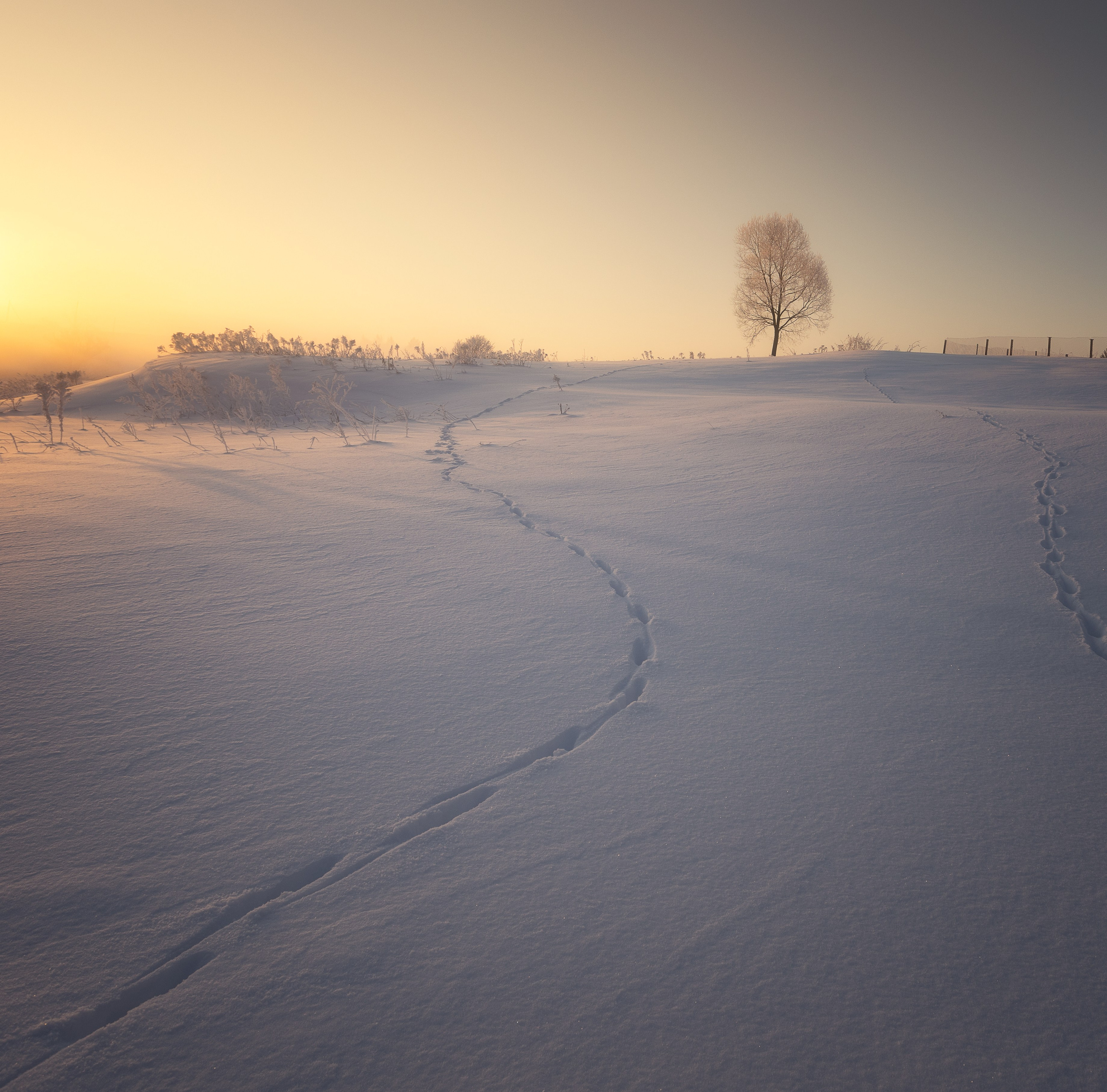 Ручей Деготня. Николай Брытков — фотограф в Туле