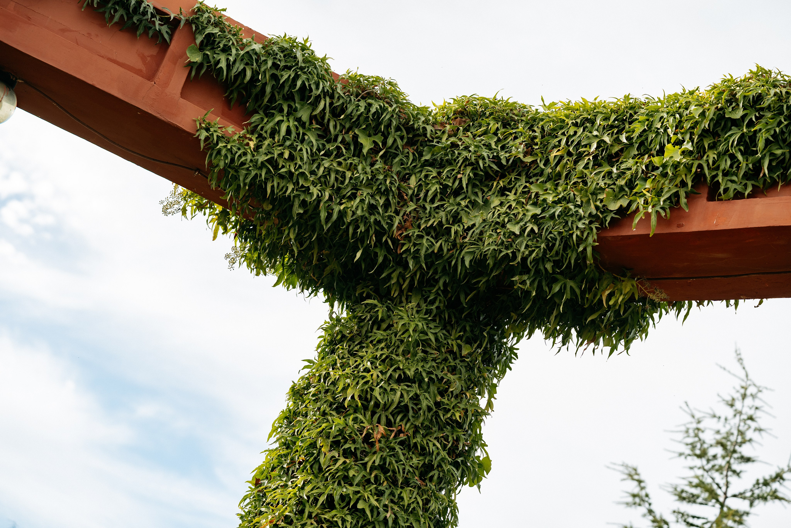 Artem&Marina. Артём и Тата — фотограф Анапа, Темрюк, Геленджик, Абрау-Дюрсо, Новороссийск, Голубицкая, Краснодар