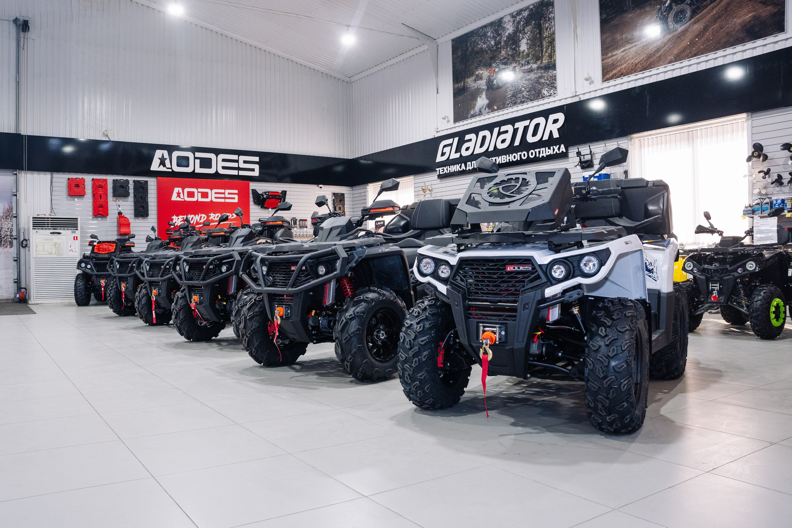 GLADIATOR. Фотограф Хабаровск