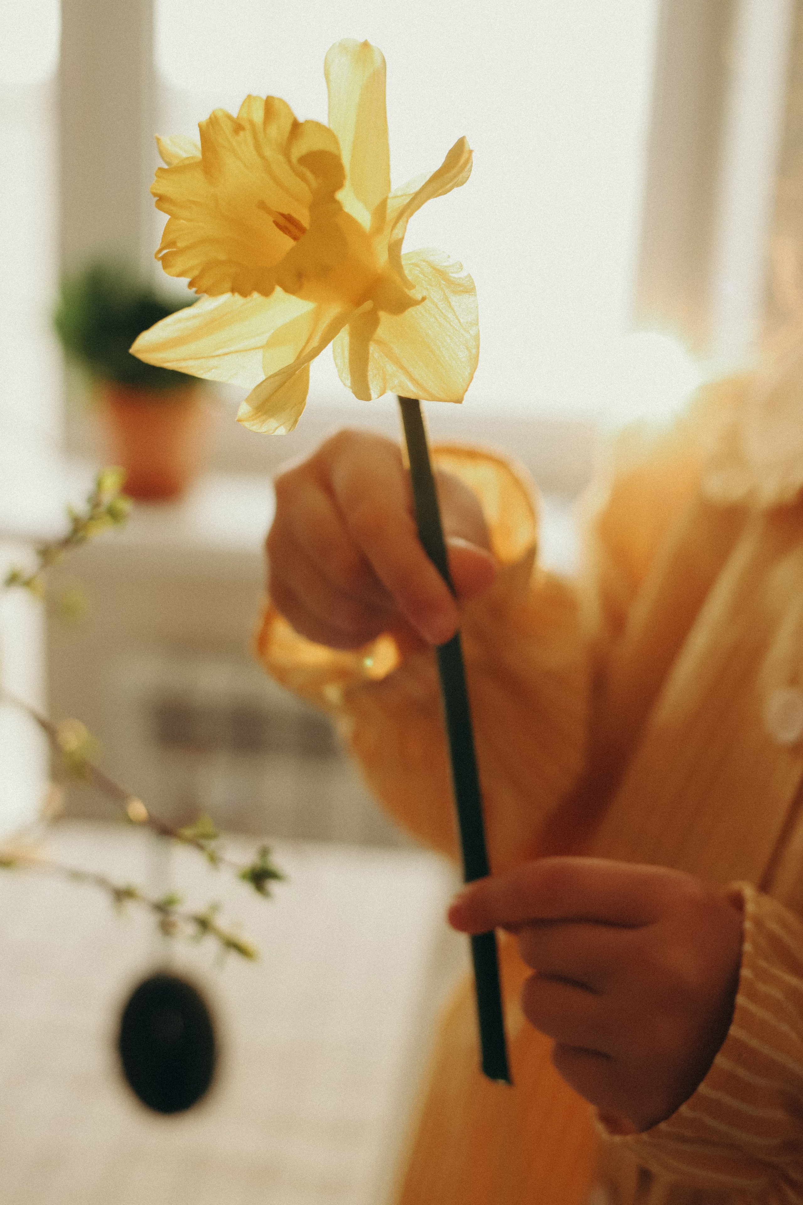 Пасха. Семейный фотограф в Ставрополе Кристина Ткаченко