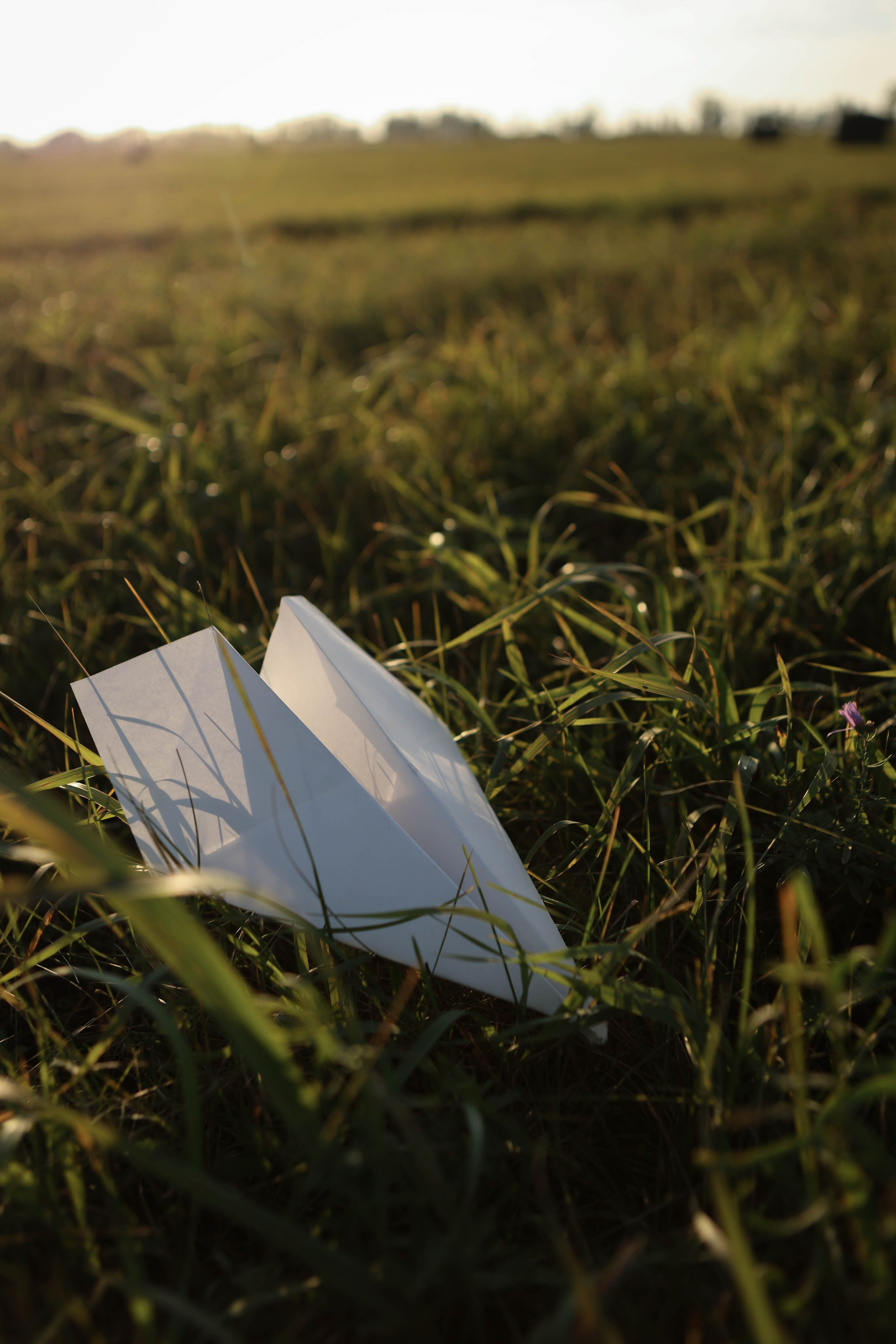 Три сестры в поле. Фотограф Белово Полина