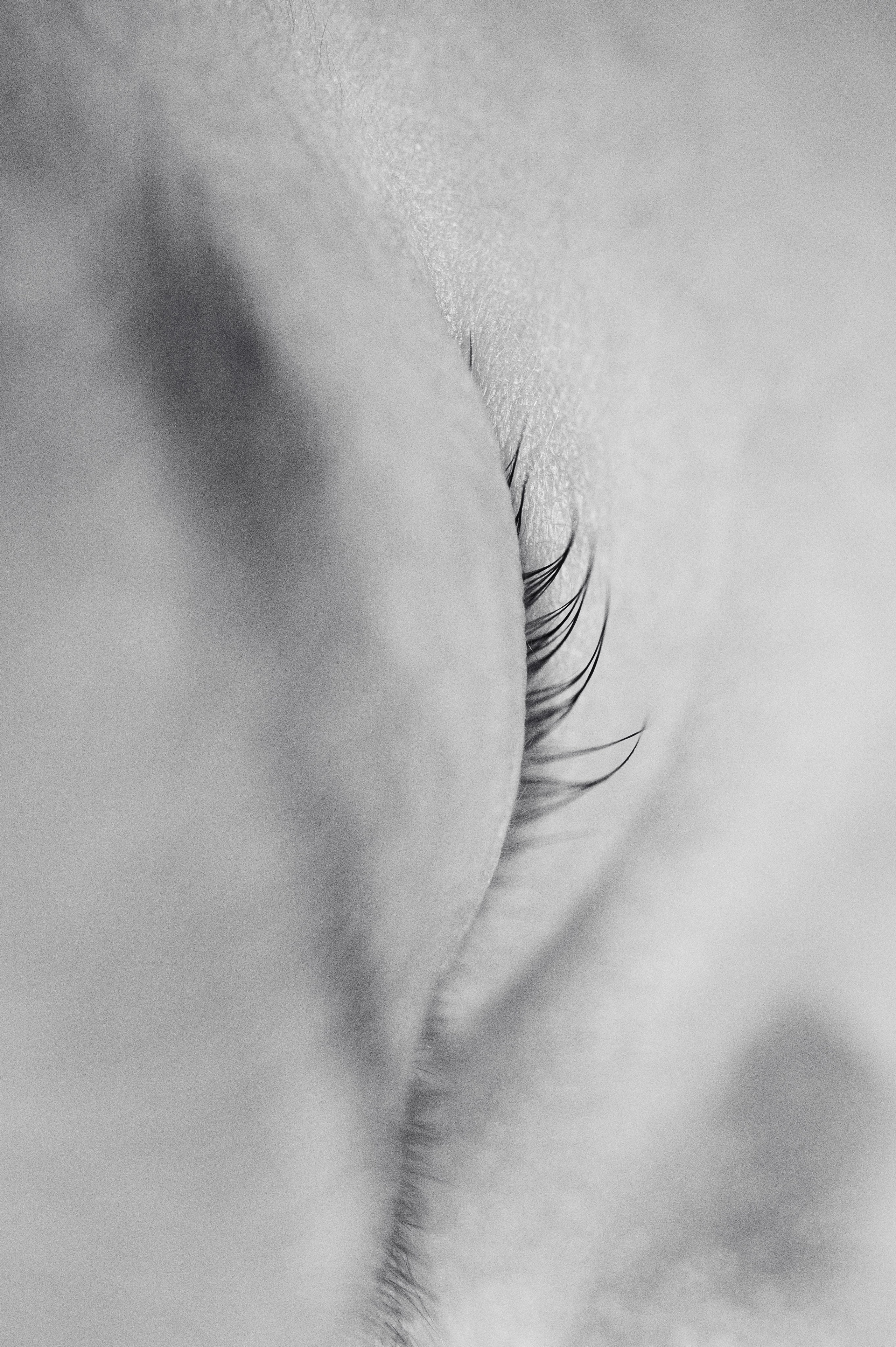 Роды в МД Лахта. Фотограф на роды СПБ Юлия Герасимова