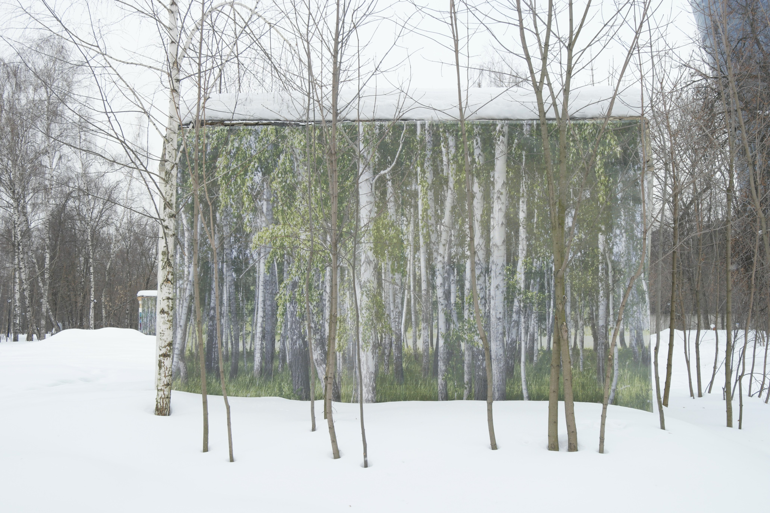 The Substitute Landscape. Vasiliy Riabovol — Fine Art Photographer | Time, Space, and Silence