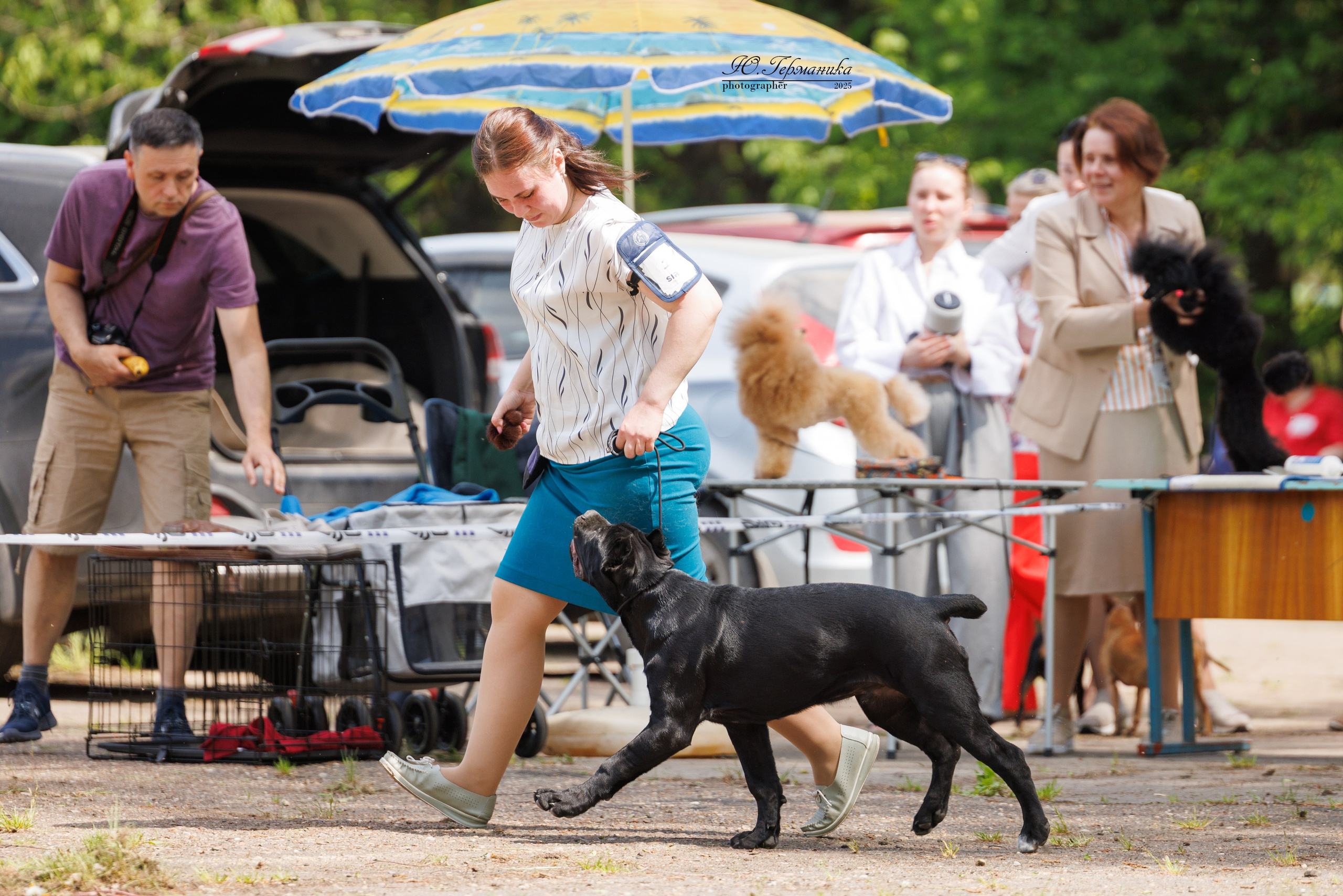 Тверь 24.05.2025. Фотограф-анималист Юлия Германика