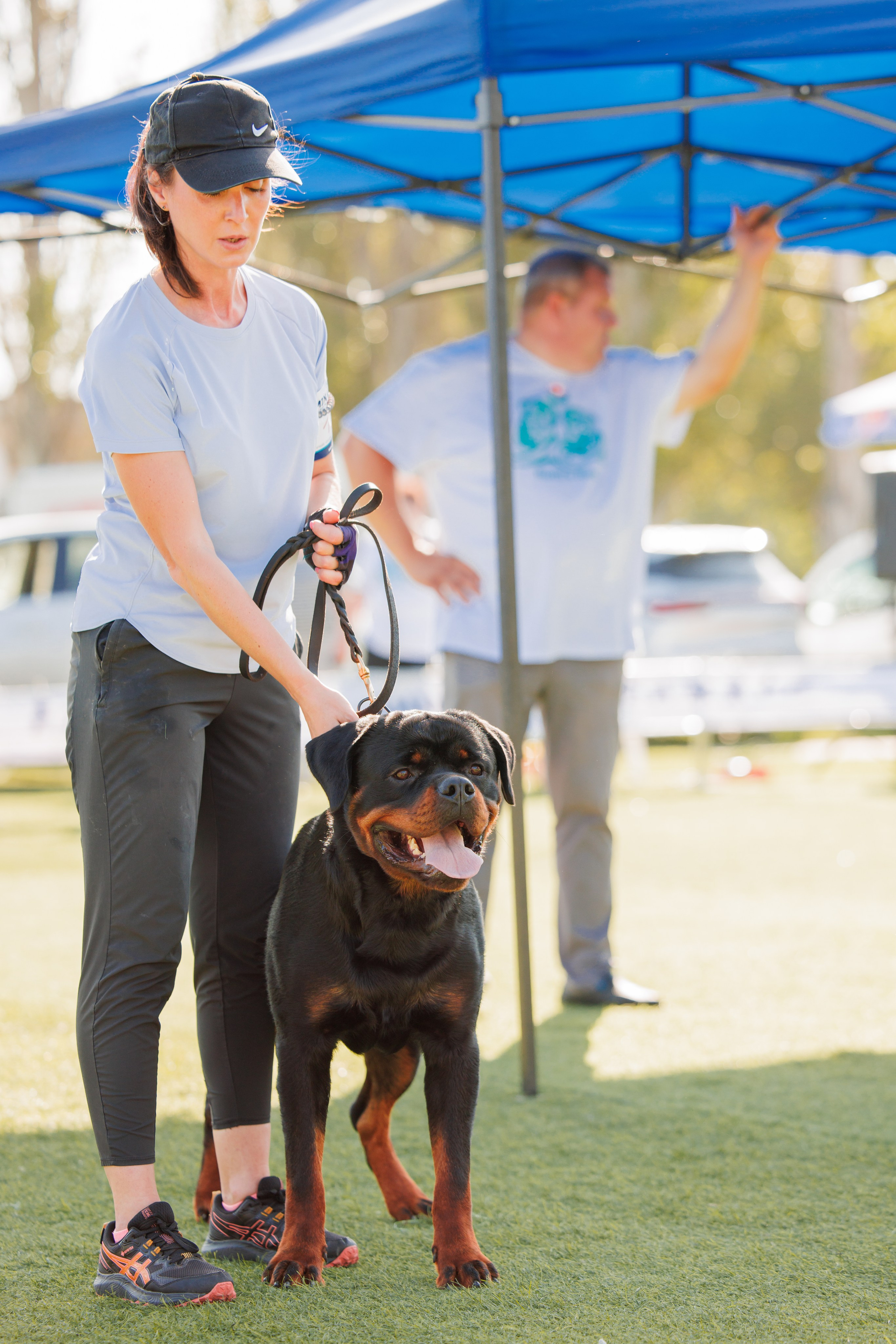 Анапа ротвейлеры 14-15.09.2024. Фотограф-анималист Юлия Германика