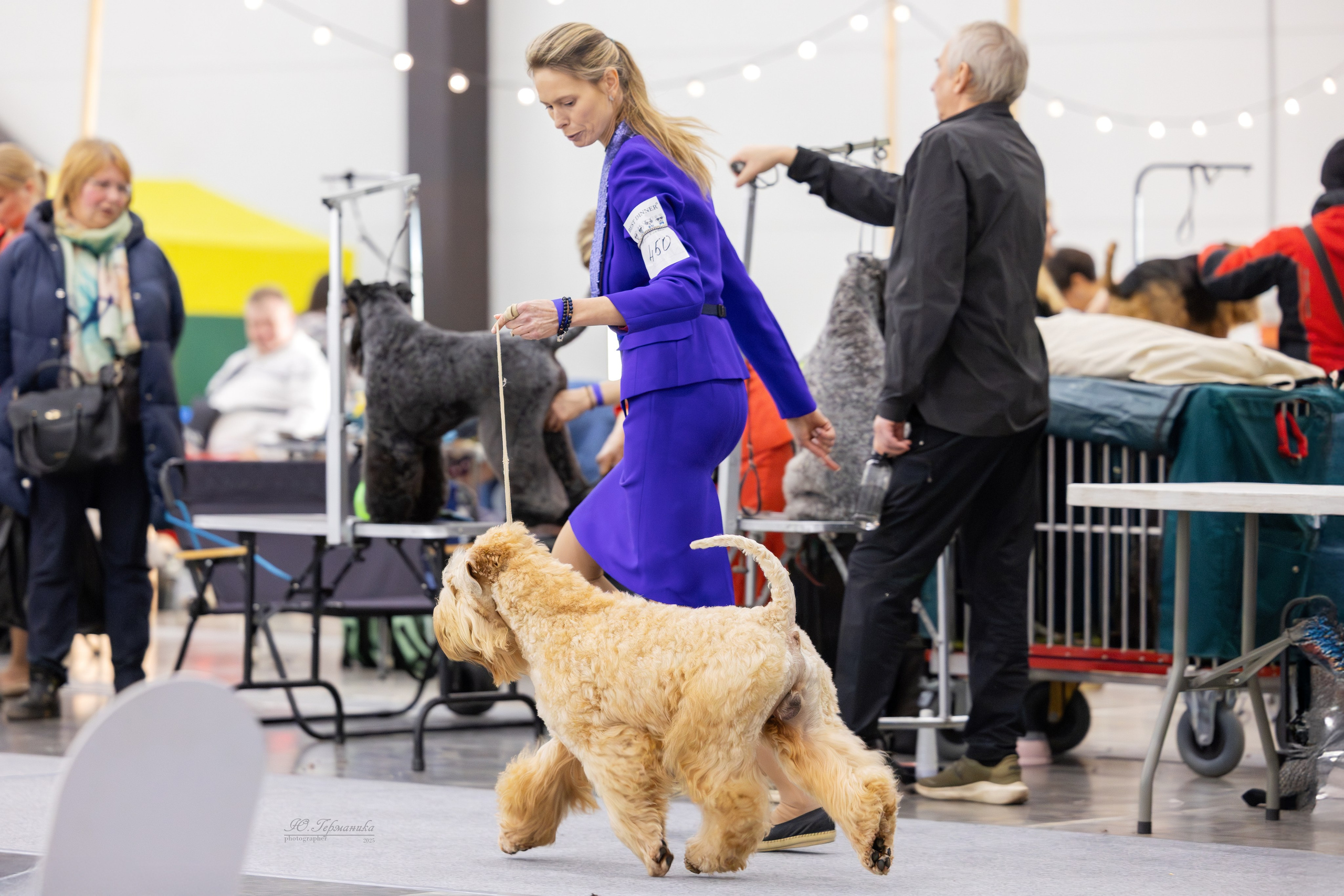 Питер 12-13.12.2025. Фотограф-анималист Юлия Германика