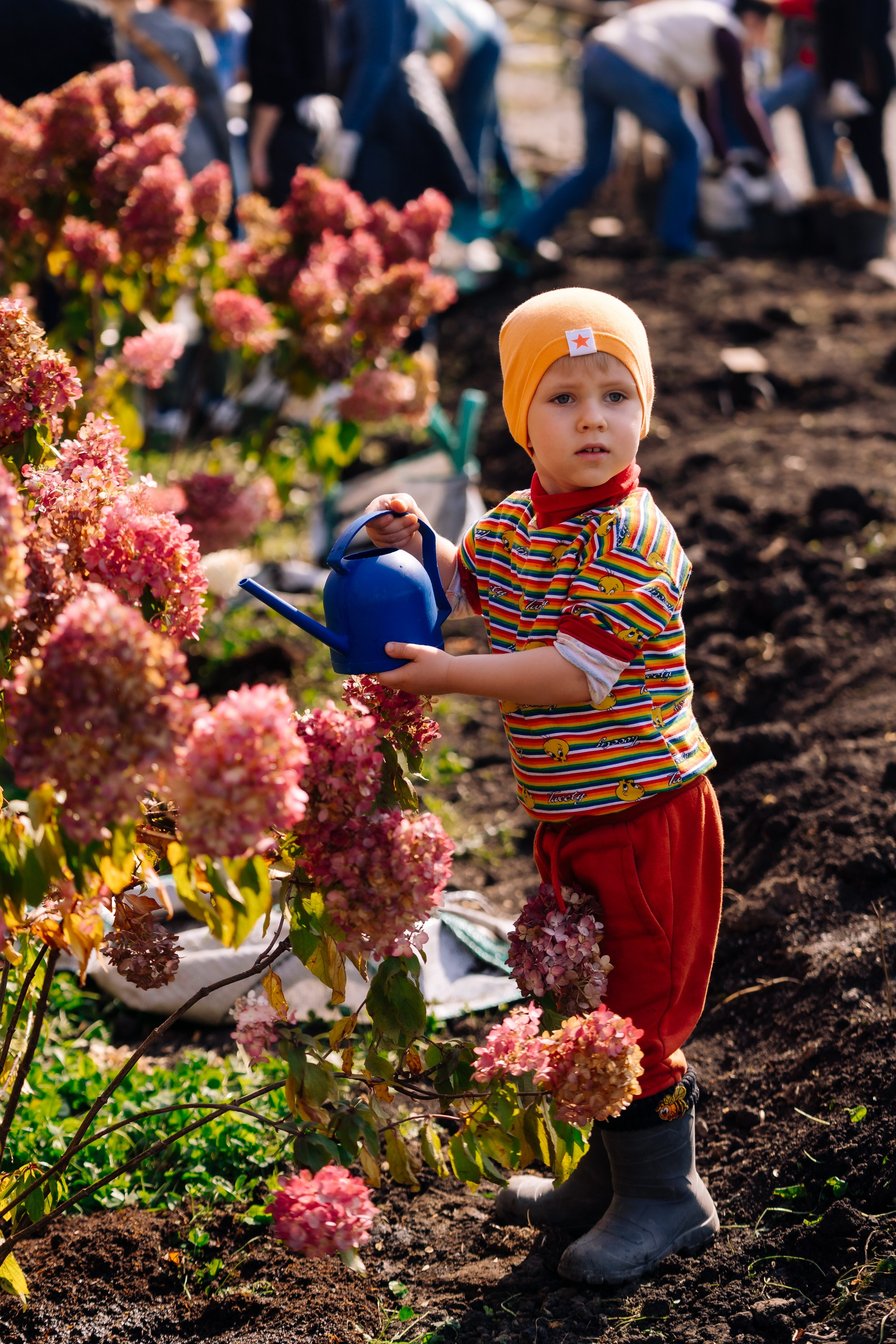 Дневные события. Geometria