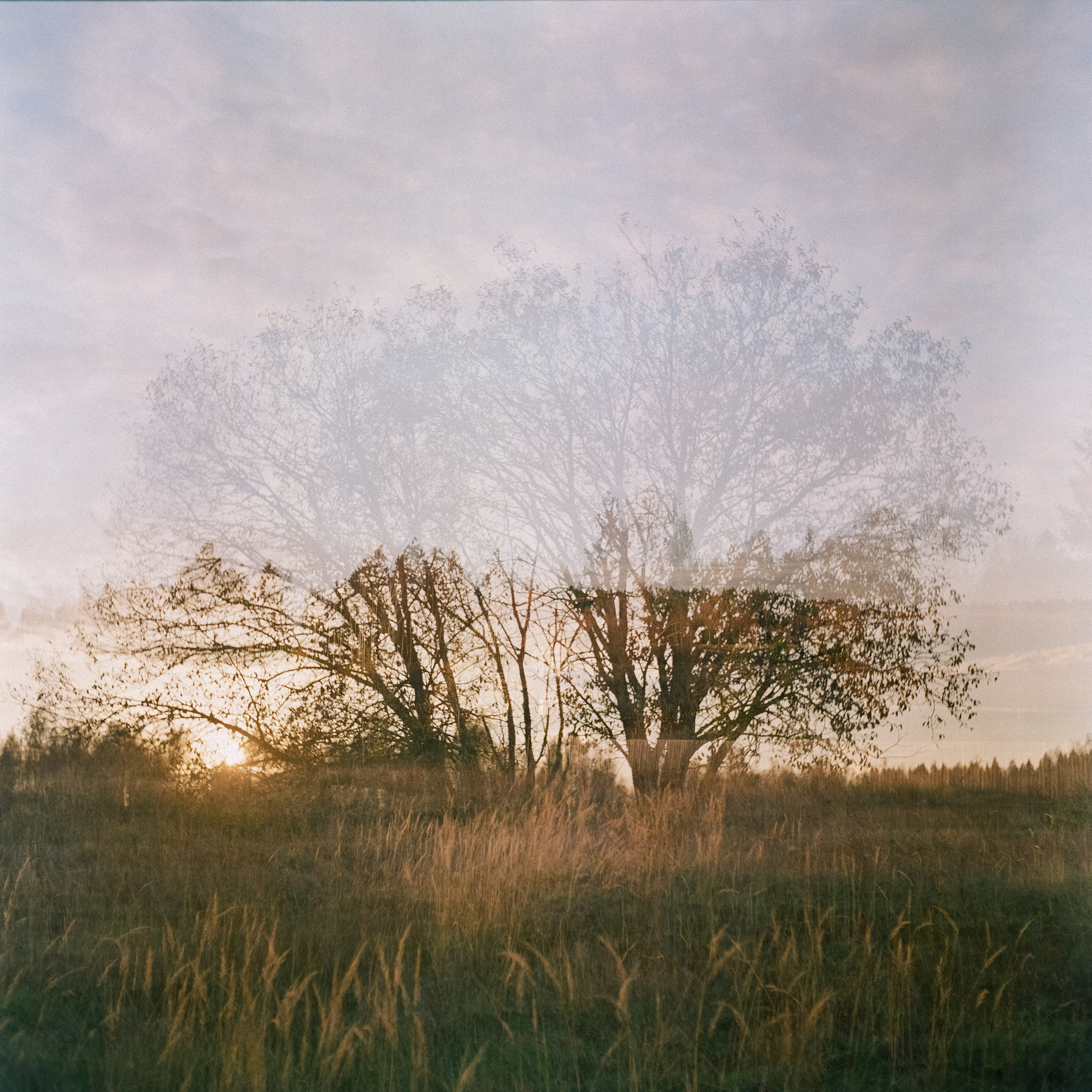 Rolleicord III–Xenar 75 mm f3.5 V / Fujicolor PRO 400H