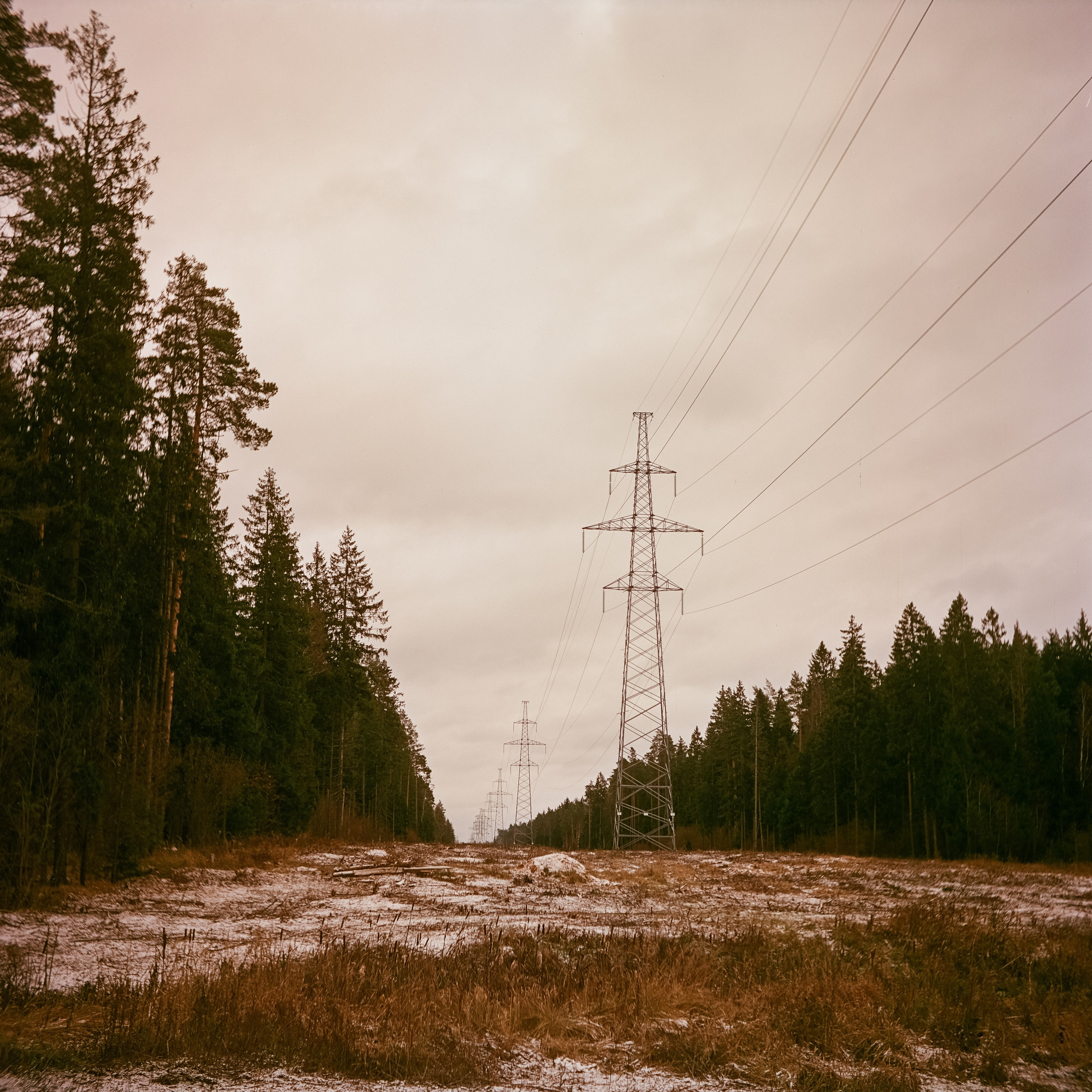 Yashica 635 / Aeronega 100 (Kodak Aerocolor IV) / ноябрь 2024 Лукино